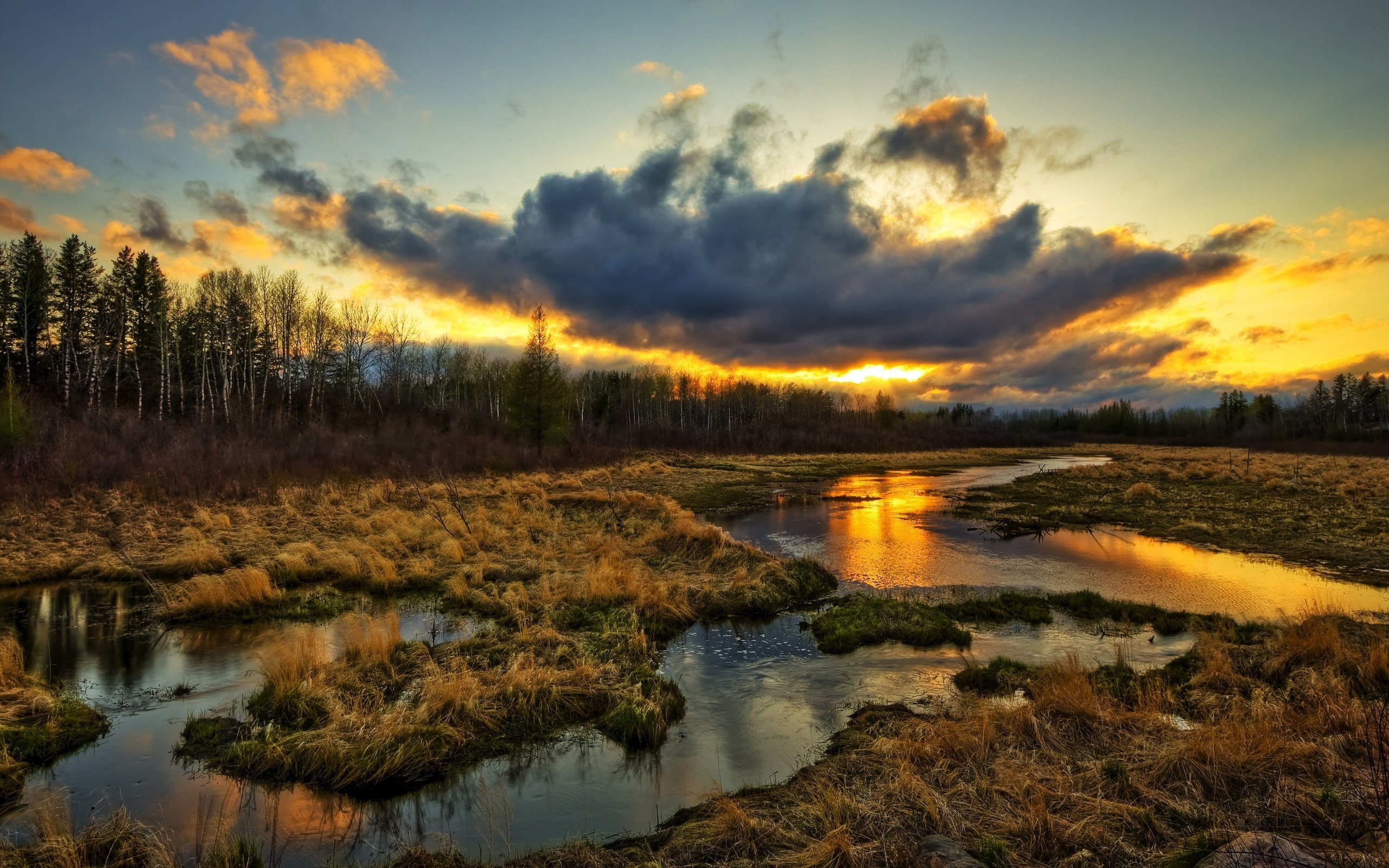 Scenery, Water, Wetlands, Clouds, grass, Beautiful, Stream, sunset, 2K, Trees, HD Wallpaper