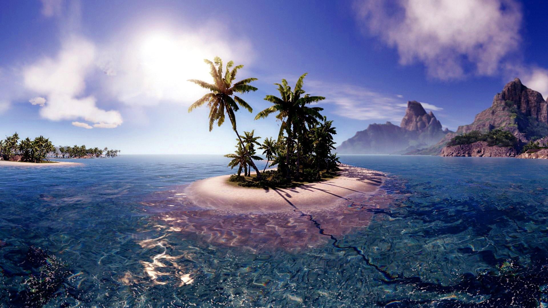 nature, lonely, palms, island, middle of ocean, 1080P, palm tree, ocean, HD Wallpaper