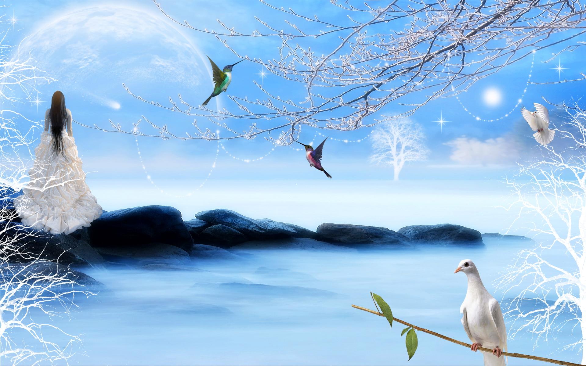 white, 3d and abstract, star, pigeon, falling, 1080P, catch, lady, fantasy, HD Wallpaper
