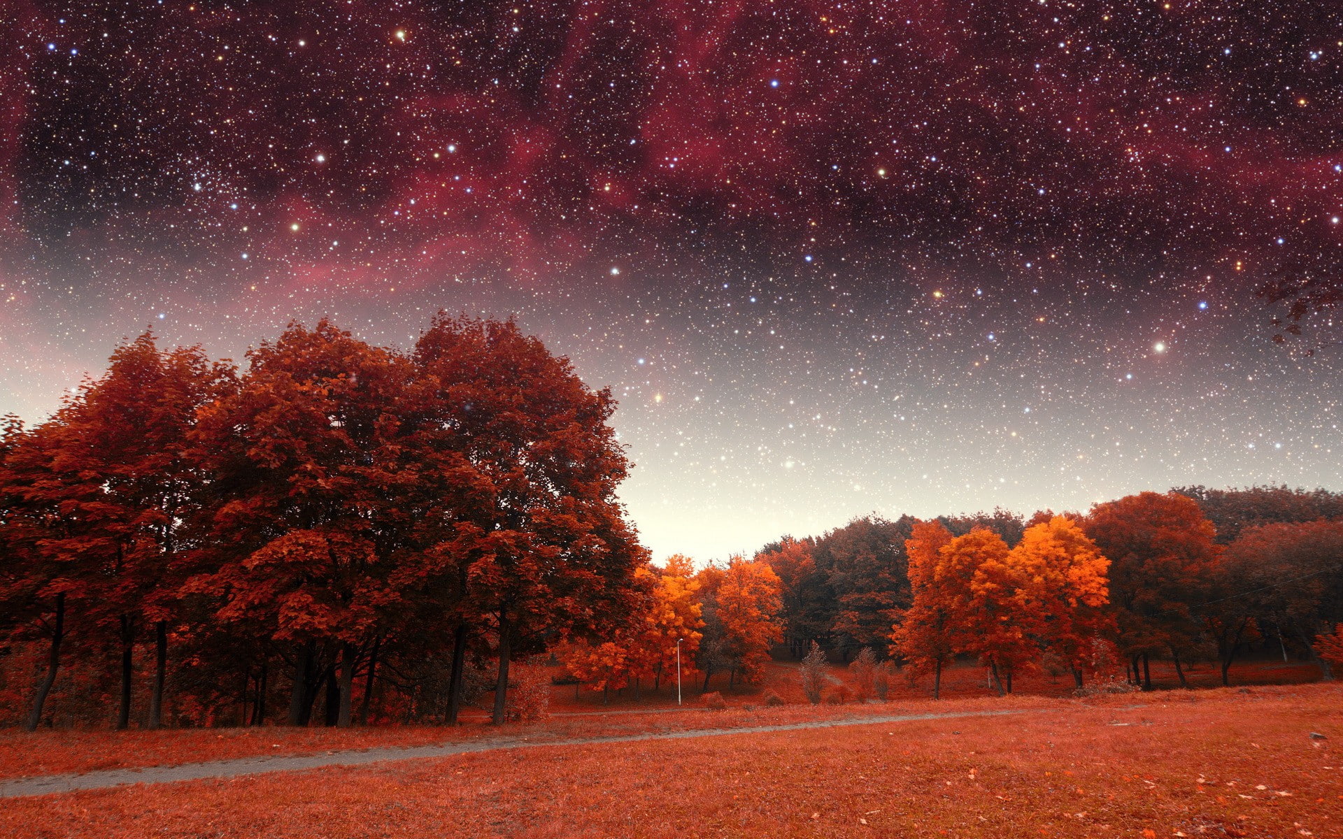 sky, trees, 1080P, fall, stars, HD Wallpaper