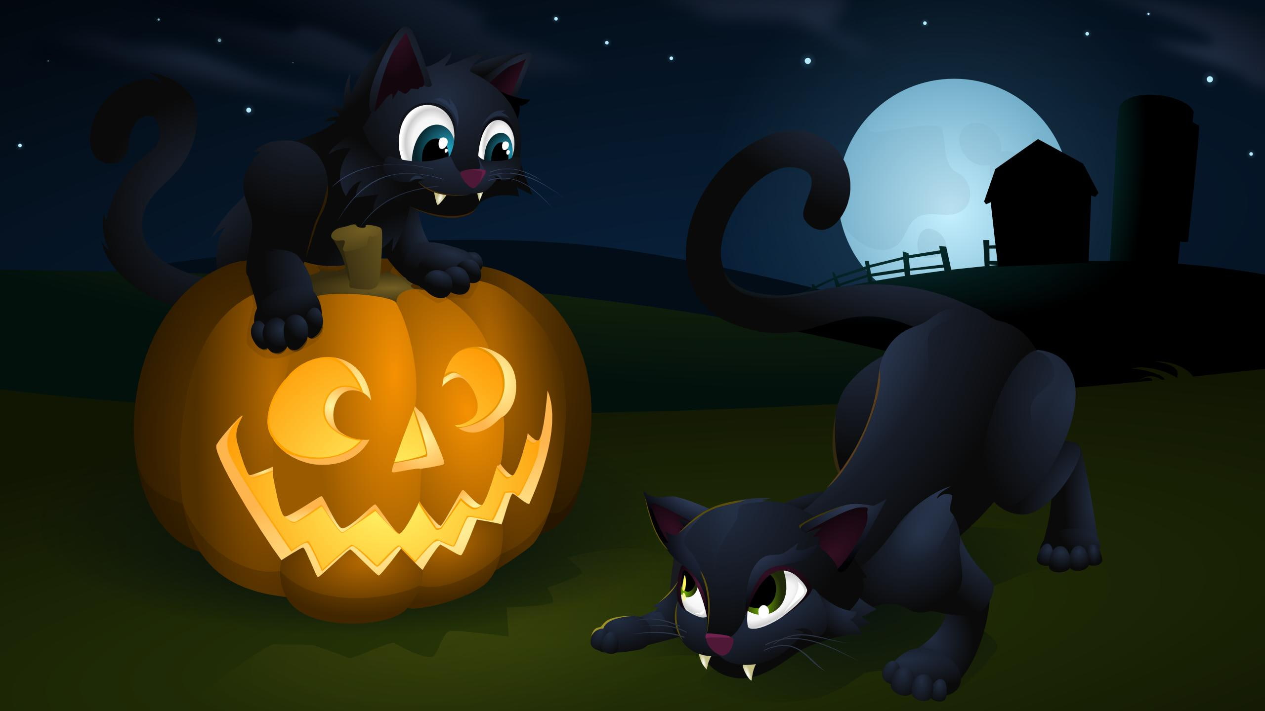 fall, moon, pumpkin, 2K, fence, halloween, cats, stars, kitties, full-moon, autumn, HD Wallpaper