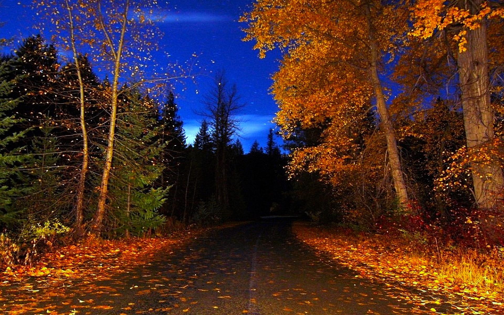 old, 3d and abstract, night, fall, stars, road, 1080P, blue sky, trees, autumn, country, HD Wallpaper