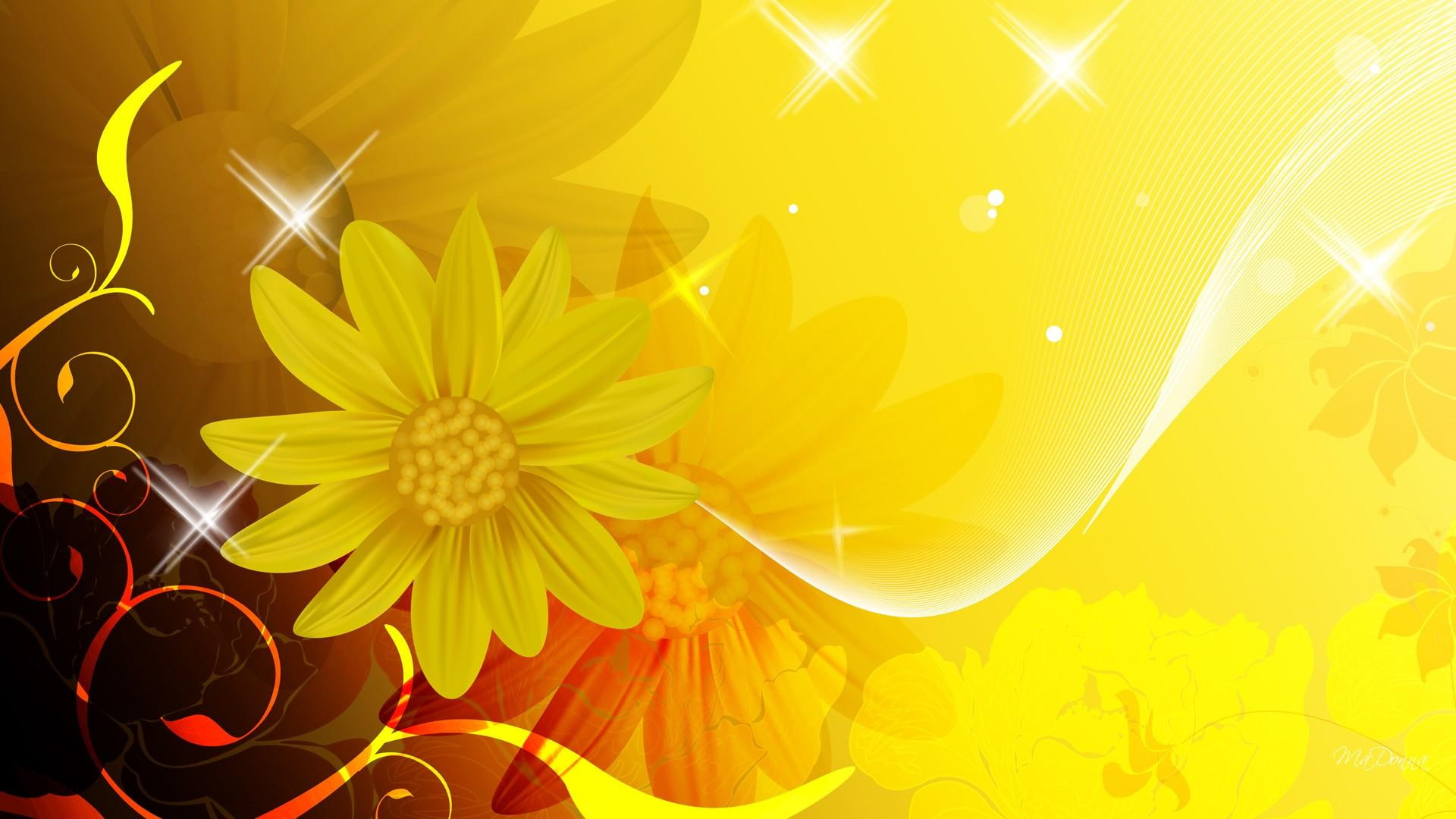 gerbera, 1080P, orange, gold, waiting, summer, yellow, scroll, daisy, abstract, fall, stars, nature, sparkle, autumn, HD Wallpaper