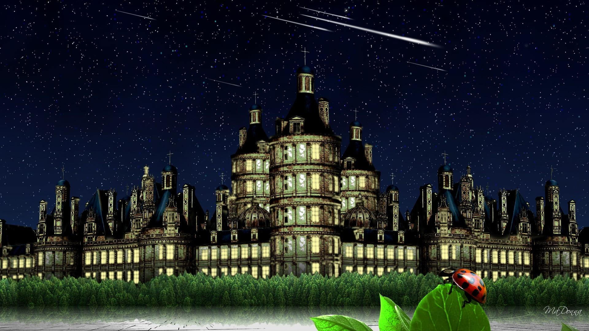 leaf, 1080P, water, buildings, sky, bright, trees, falling star, animals, lady bug, stars, city, HD Wallpaper