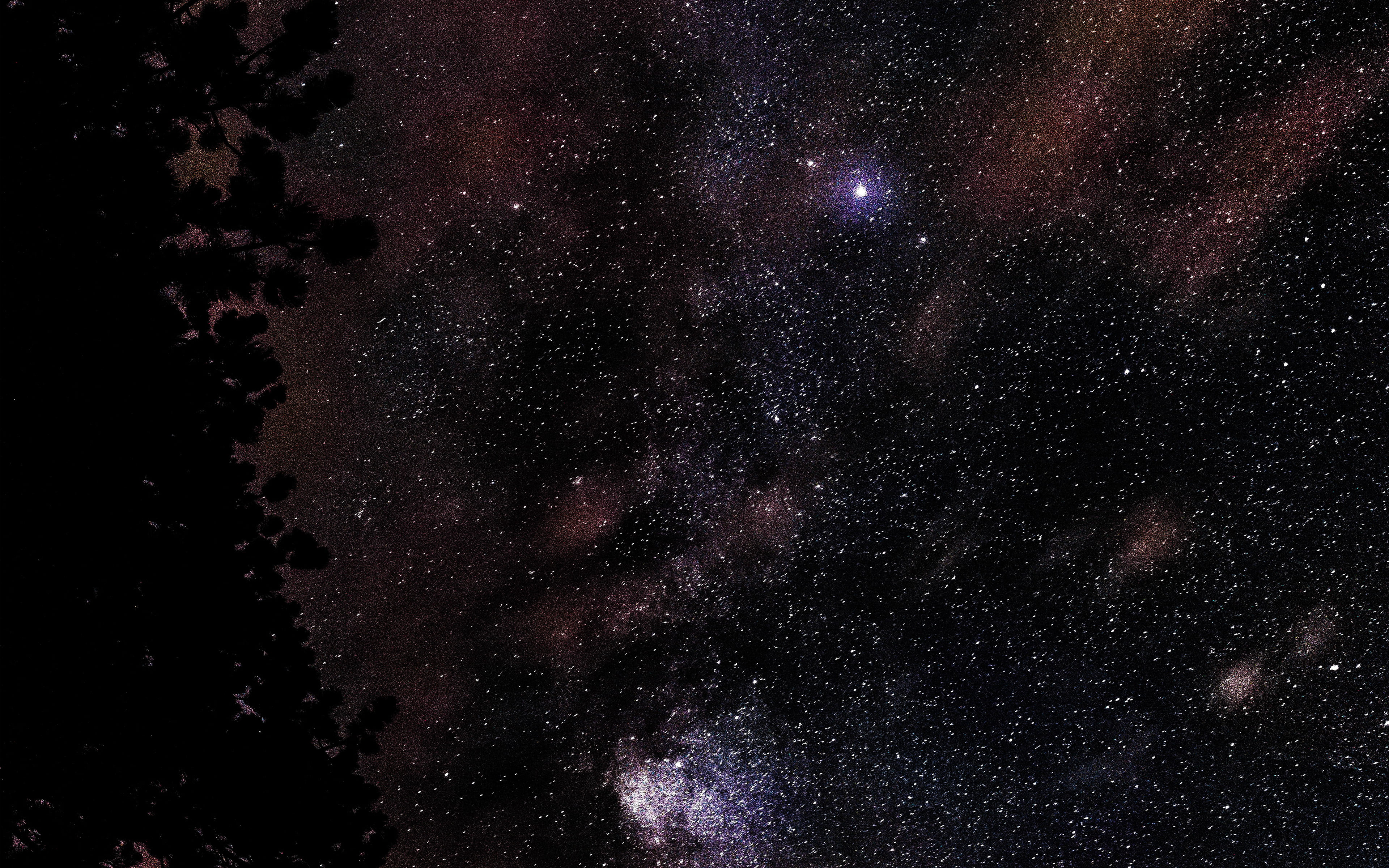 tranquility, outdoors, nature, no people, galaxy, star, wood, space, low angle view, star field, full frame, luminosity, infinity, 4K, night, fall, beauty in nature, HD Wallpaper