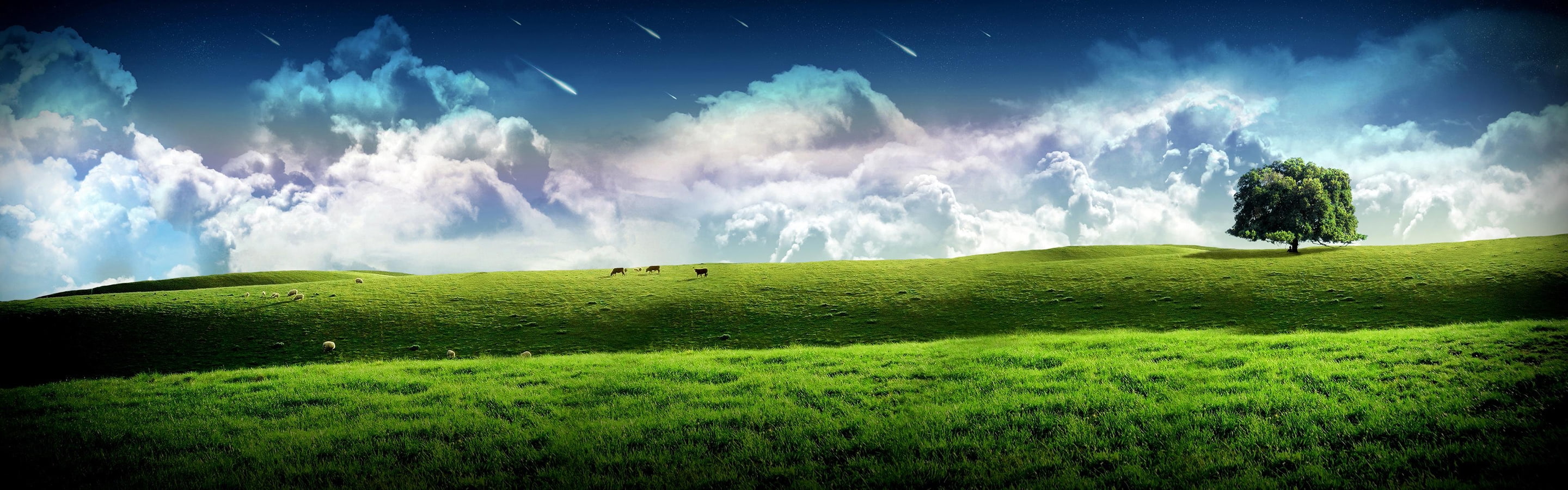 trees, skyscapes, art, nature, Green, 2K, stars, falling, hd, meadows, grass, space, HD Wallpaper