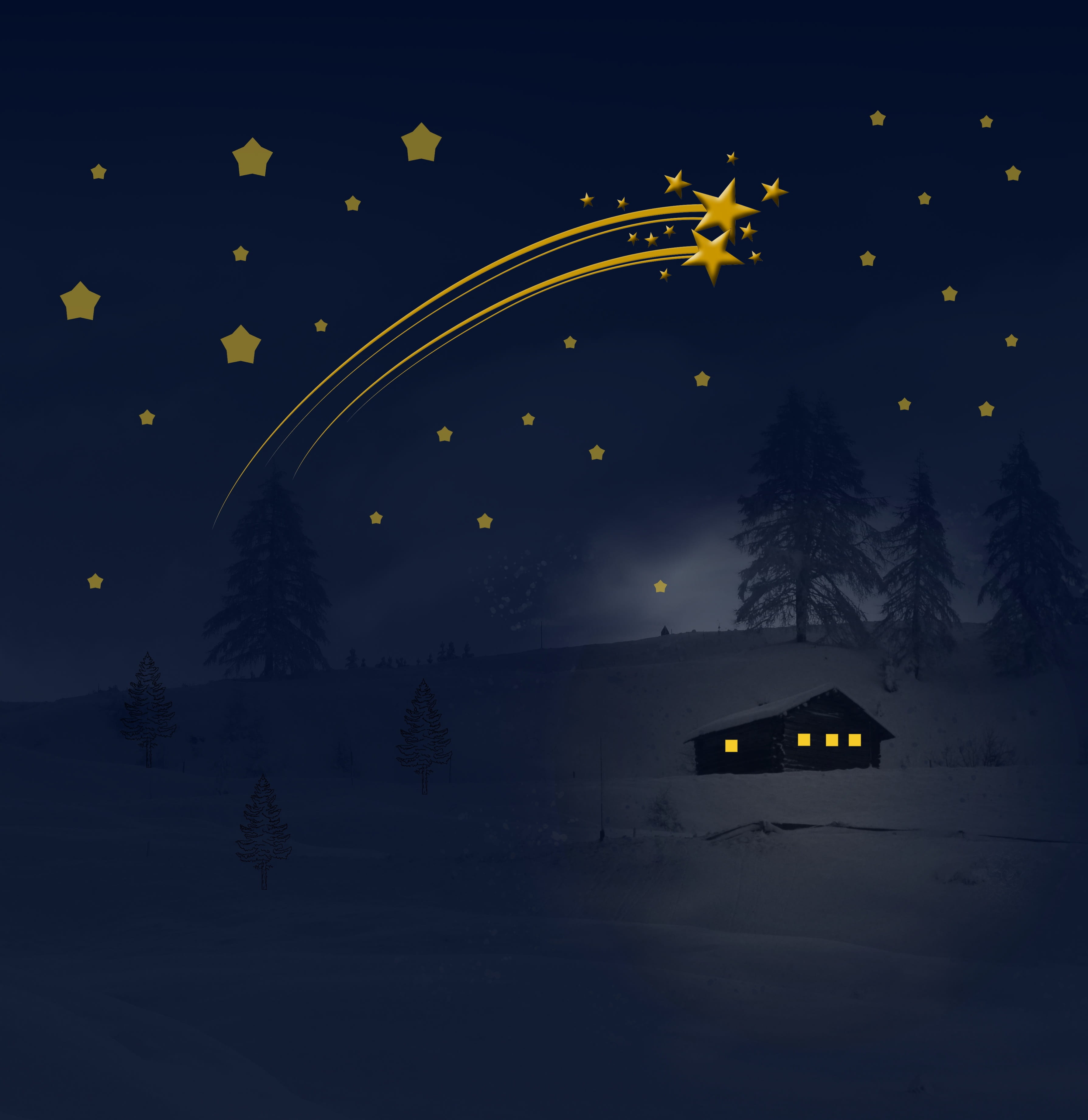 transportation, snow landscape, tree, greeting, lighting, night, plant, illustration, wintry, 2K, background, postcard, dark, motion, cold temperature, Phone HD Wallpaper