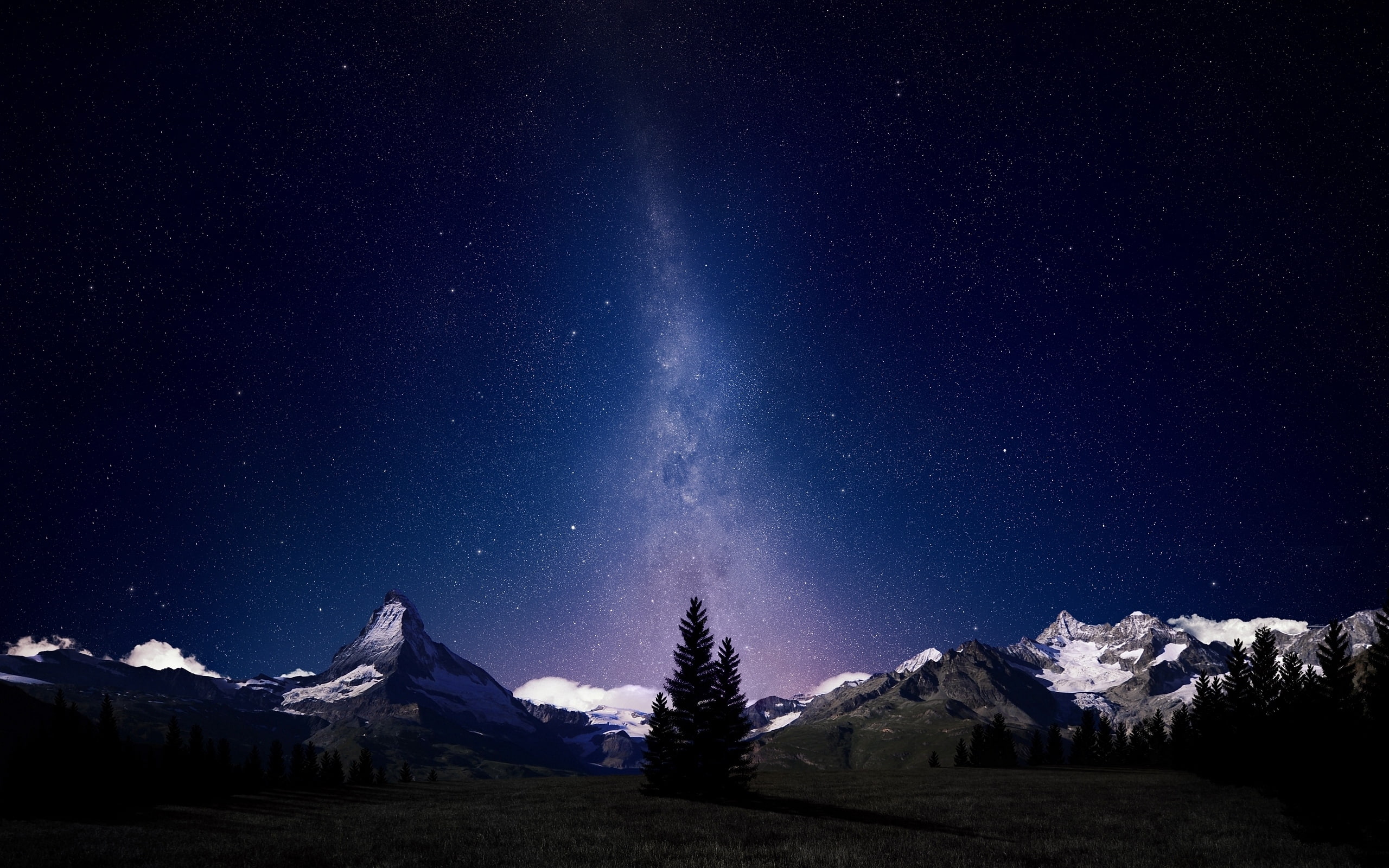milky way, fir-trees, sky, 2K, trees, august, night, HD Wallpaper
