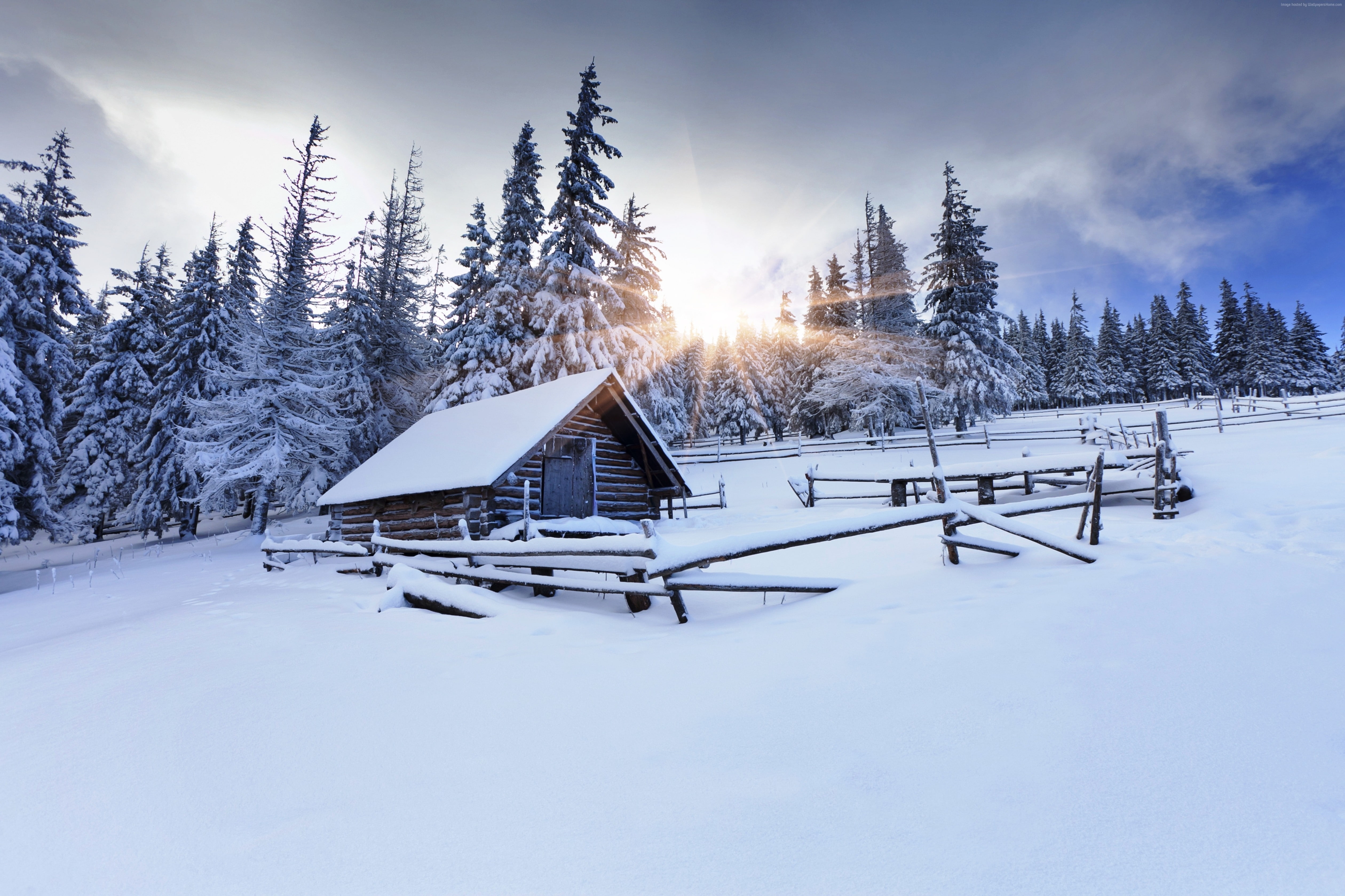 snow, mountain, 4K, sun, winter forest, house, 8k, 5k, village, fir-trees, 4k, HD Wallpaper