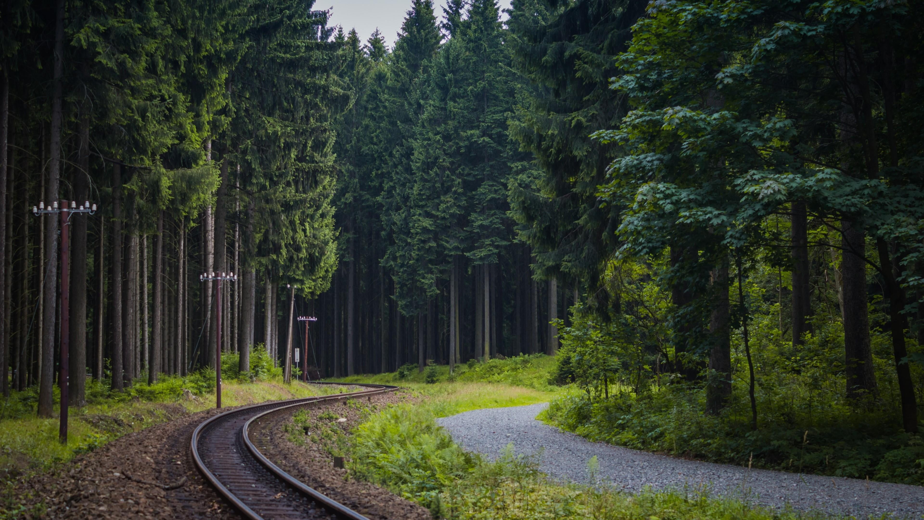 4K, beauty in nature, nature, plant, path, train, tree, day, outdoors, tranquil scene, transportation, no people, scenics - nature, growth, road, green color, HD Wallpaper