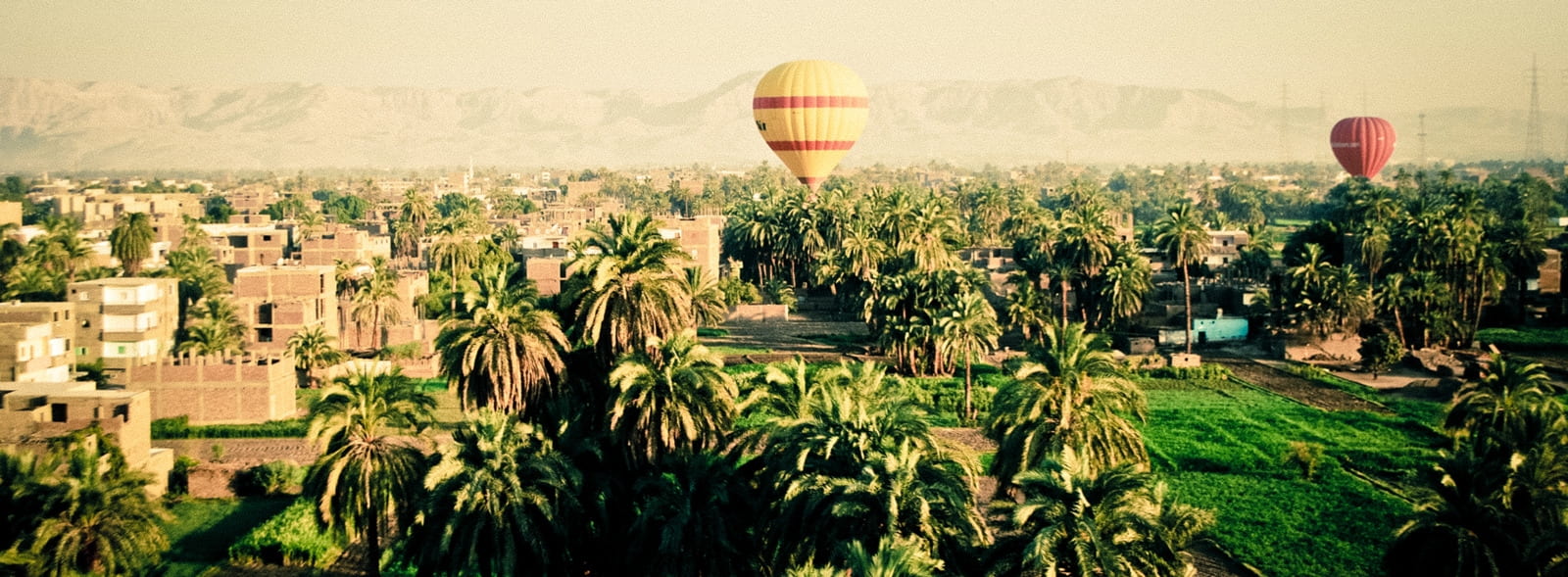 air vehicle, growth, scenics - nature, city, palm, travel, town, environment, architecture, hot, retro, view, hot air balloon, hot-air balloon, balloon, HD Wallpaper