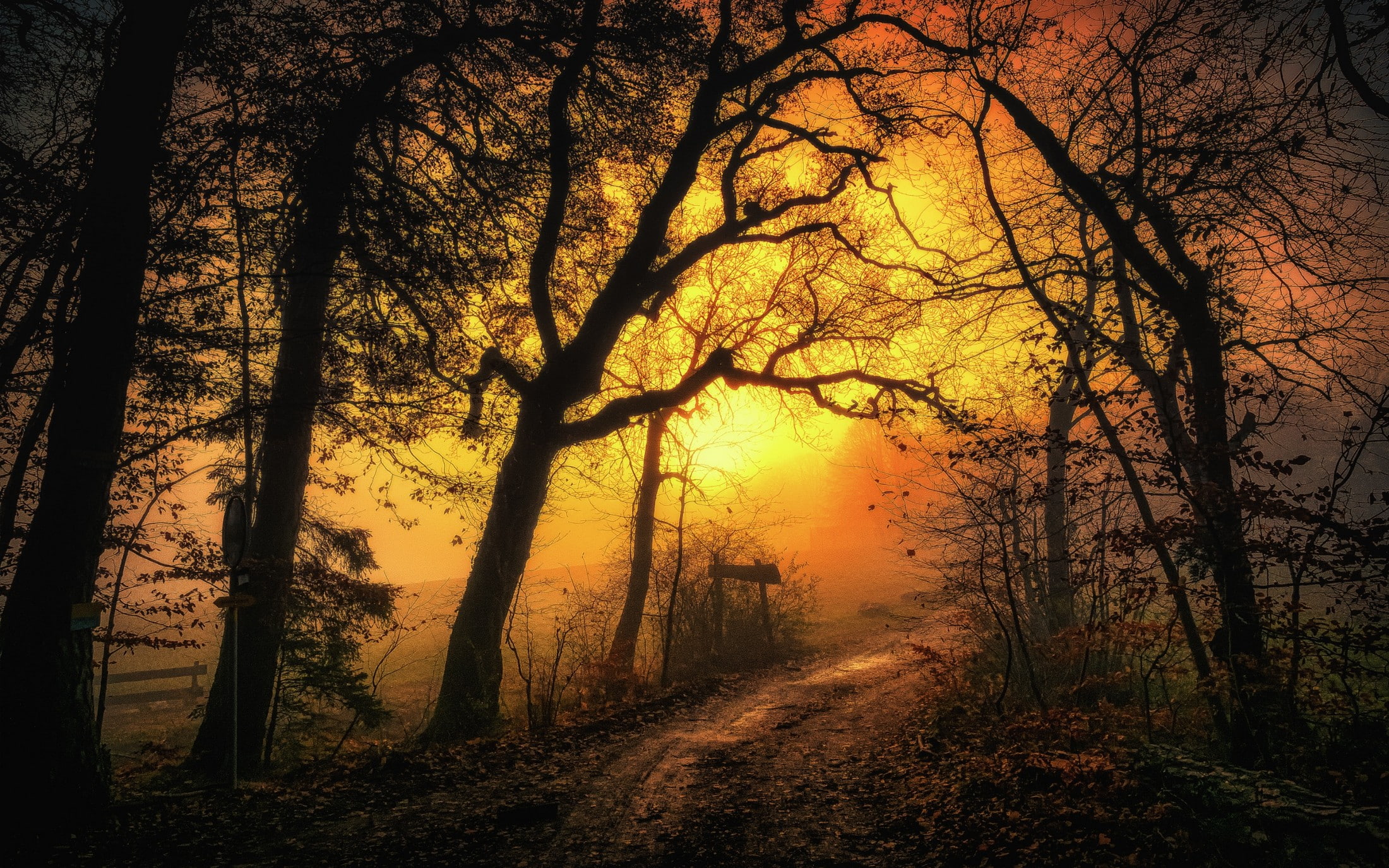 nature, mist, forest, dirt road, 2200x1375, 1080P, dirt, sunrise, landscape, path, morning, road, sky, HD Wallpaper