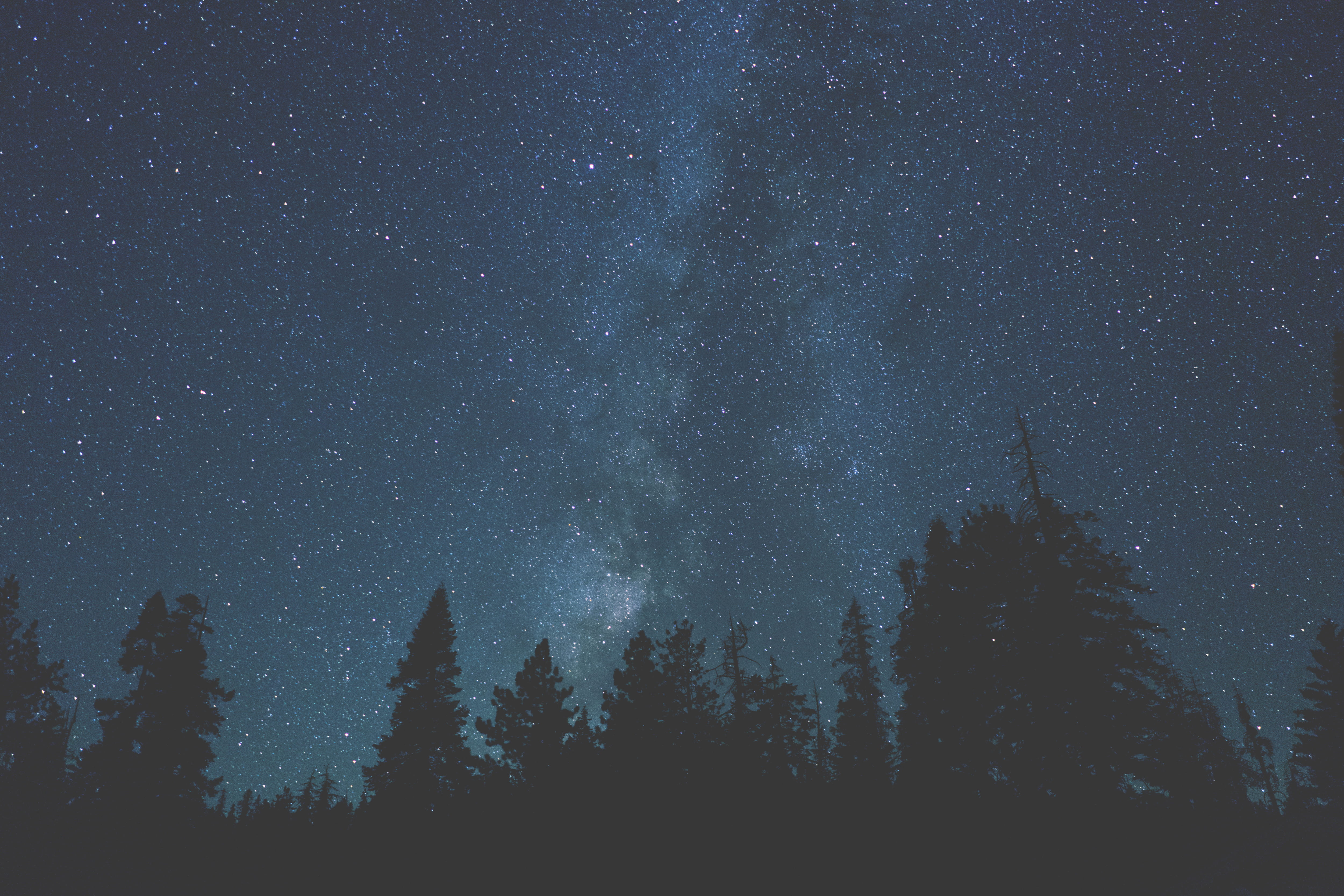 landscape, nature, uSA, tranquil scene, star field, tranquility, tree, space, no people, illustration, shot, Yosemite Valley, dark, California, Long exposure, HD Wallpaper