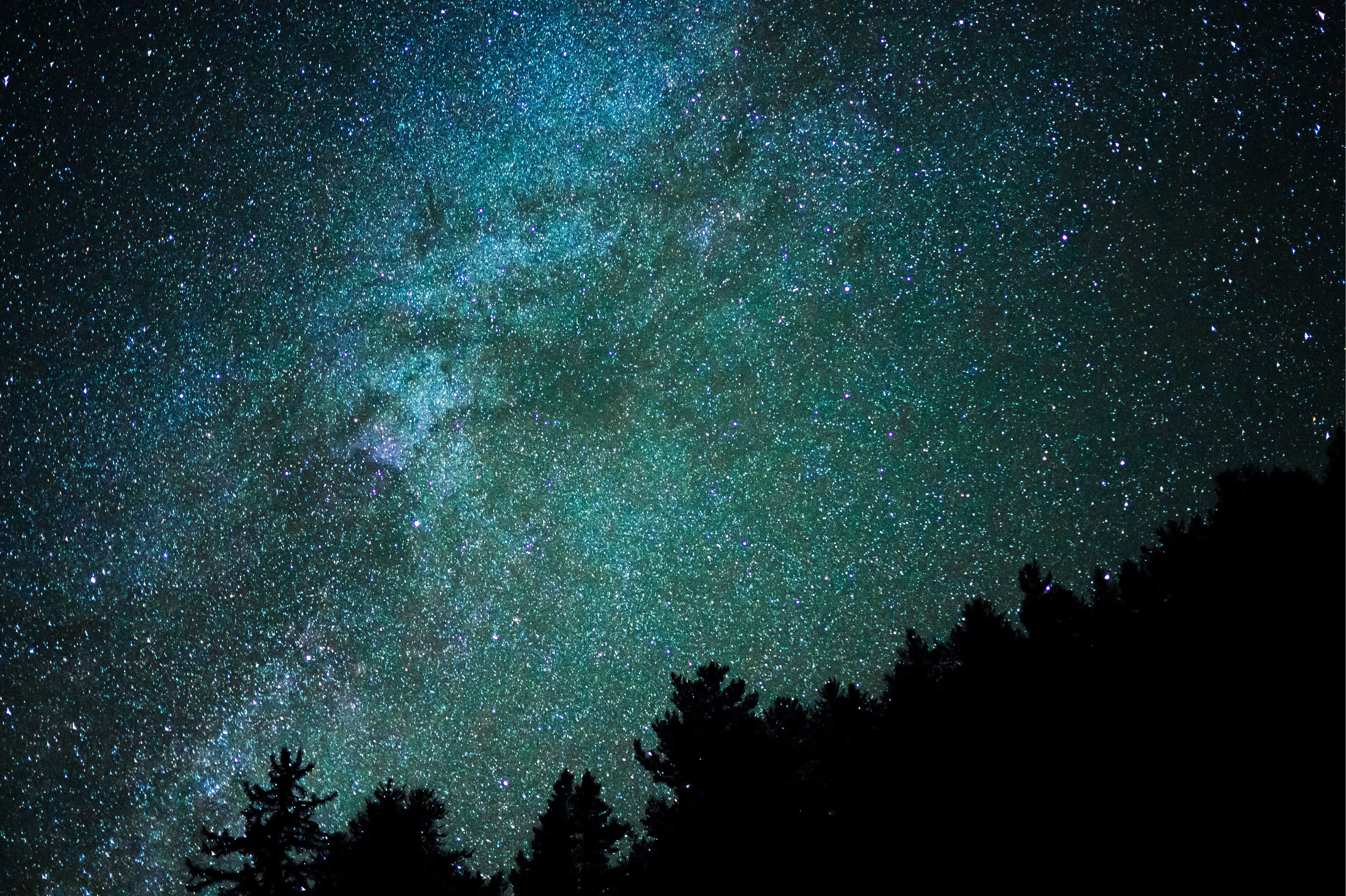space and astronomy, 4K, tranquility, long, silhouette, constellation, natural, blue, forest, nebula, abstract, tranquil scene, star - Space, milky Way, HD Wallpaper