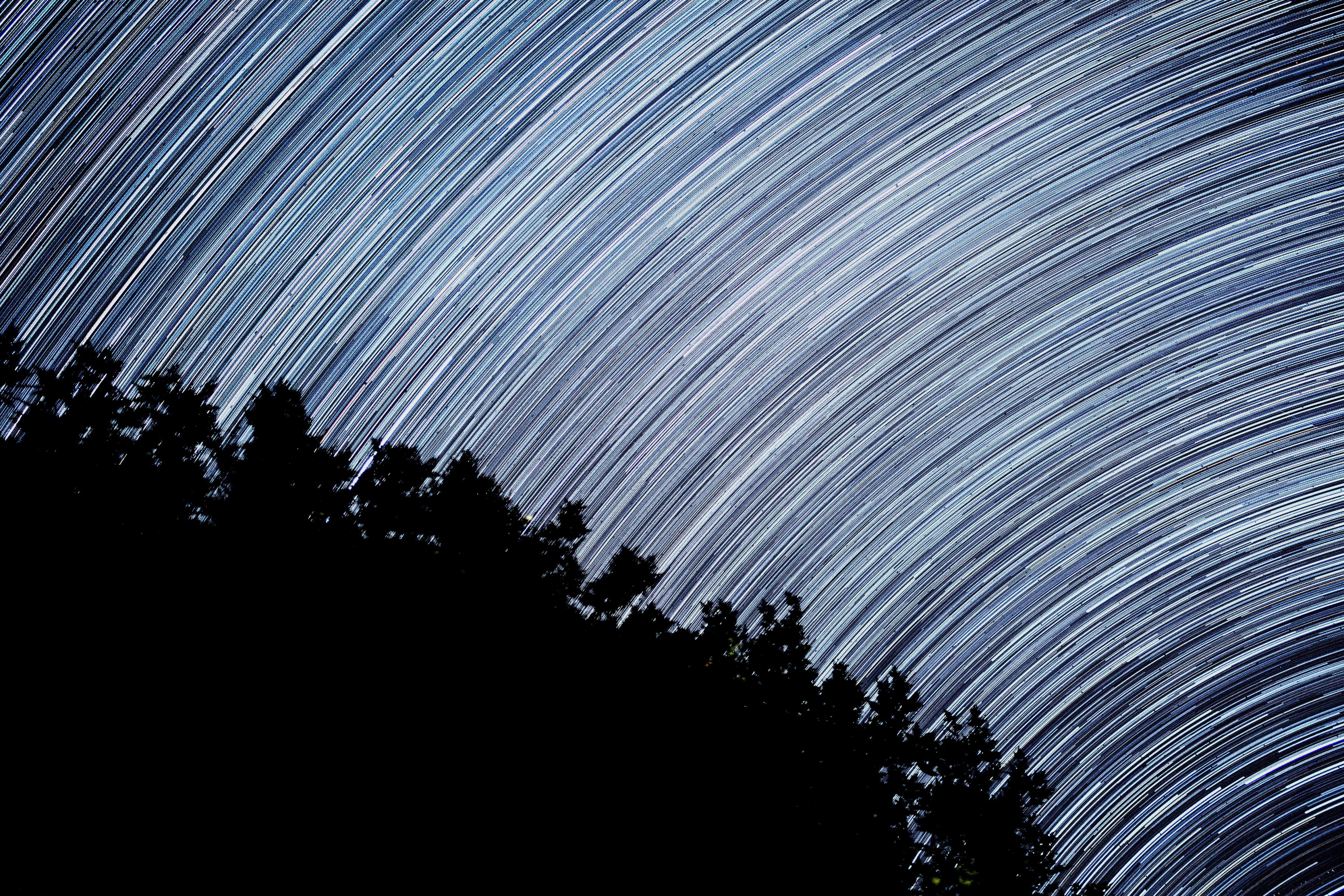 painting, full frame, scenics - nature, outdoors, photo, long, star - space, exposure, silhouette, bulb, day, land, backgrounds, plant, frond, low angle view, HD Wallpaper