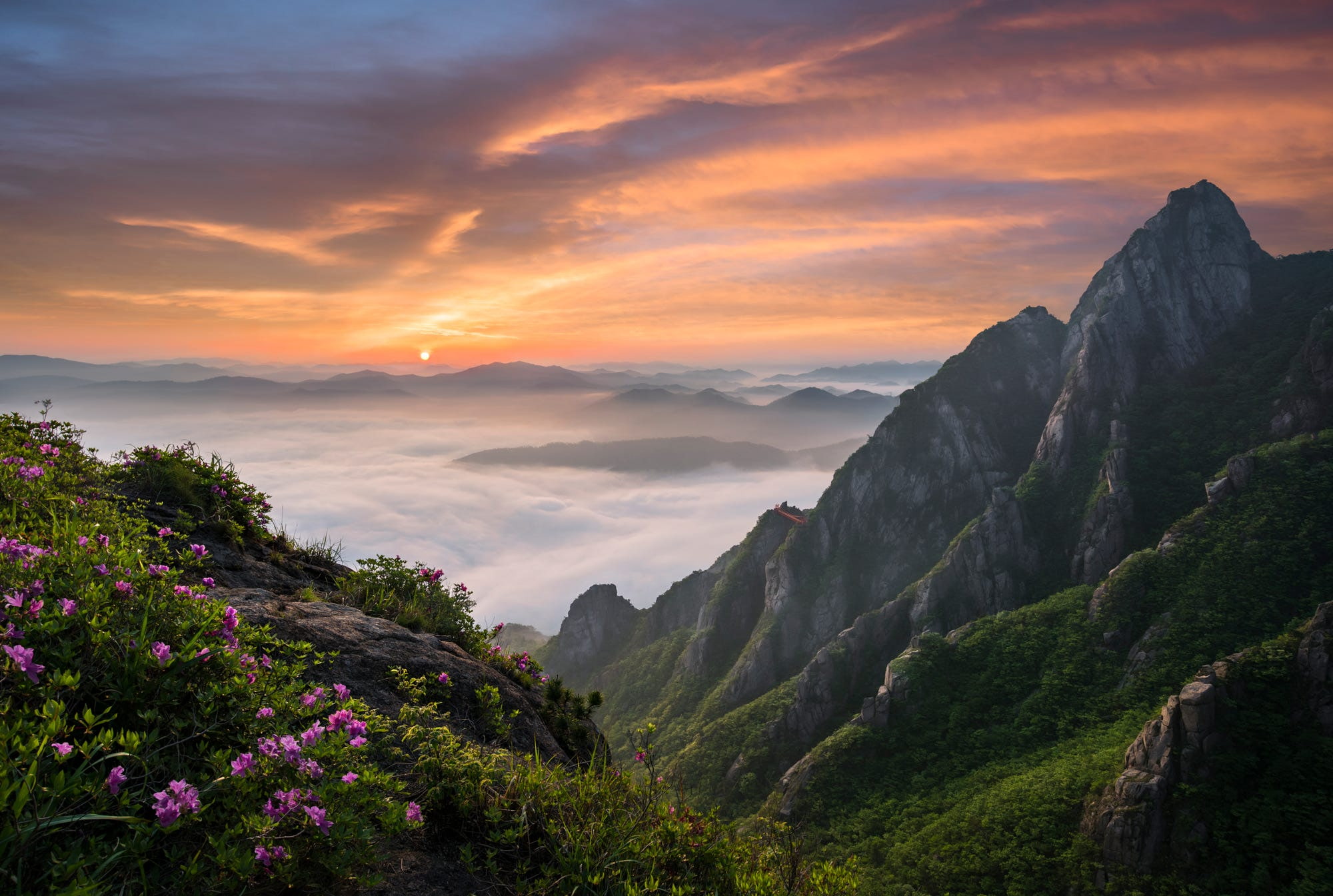 pink flowers, landscape, South Korea, sky, rocks, scenics - nature, mountains, orange color, tranquil scene, nature, clouds, idyllic, tranquility, mountain range, HD Wallpaper