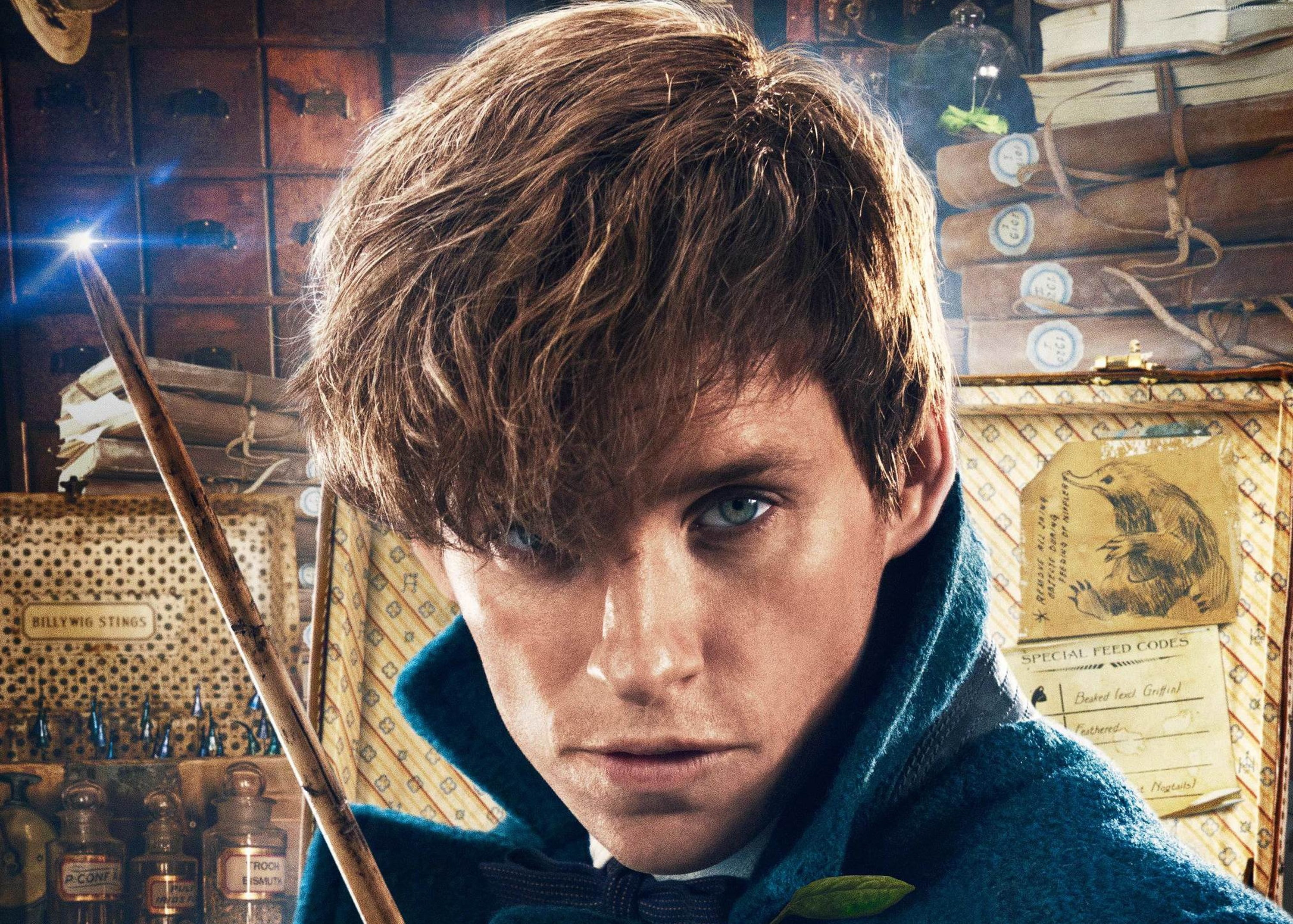 Fantastic Beasts And Where To Find Them, 2K, Eddie Redmayne, Best Movies, HD Wallpaper