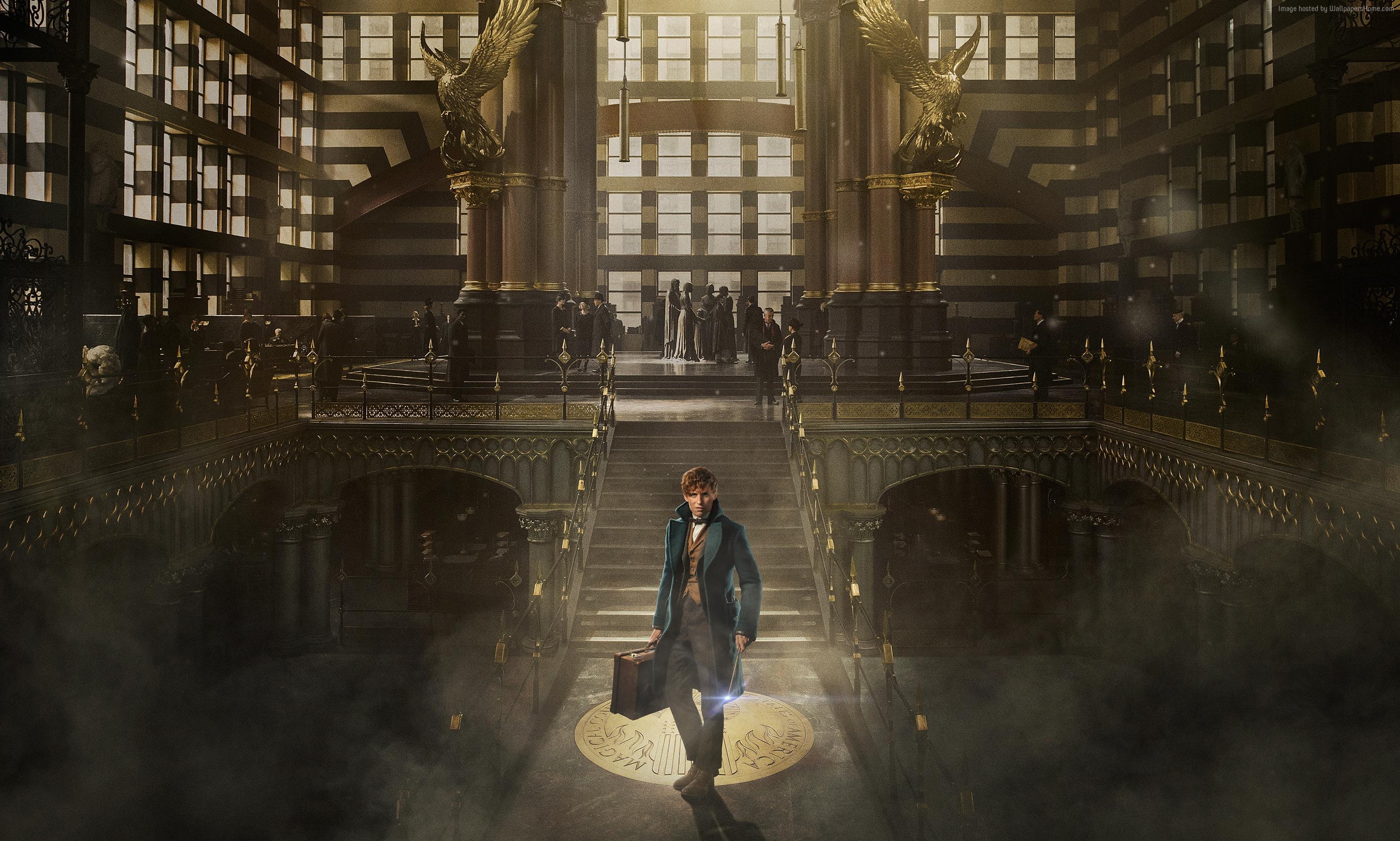 Eddie Redmayne, Fantastic Beasts And Where To Find Them, 2K, Best Movies, HD Wallpaper