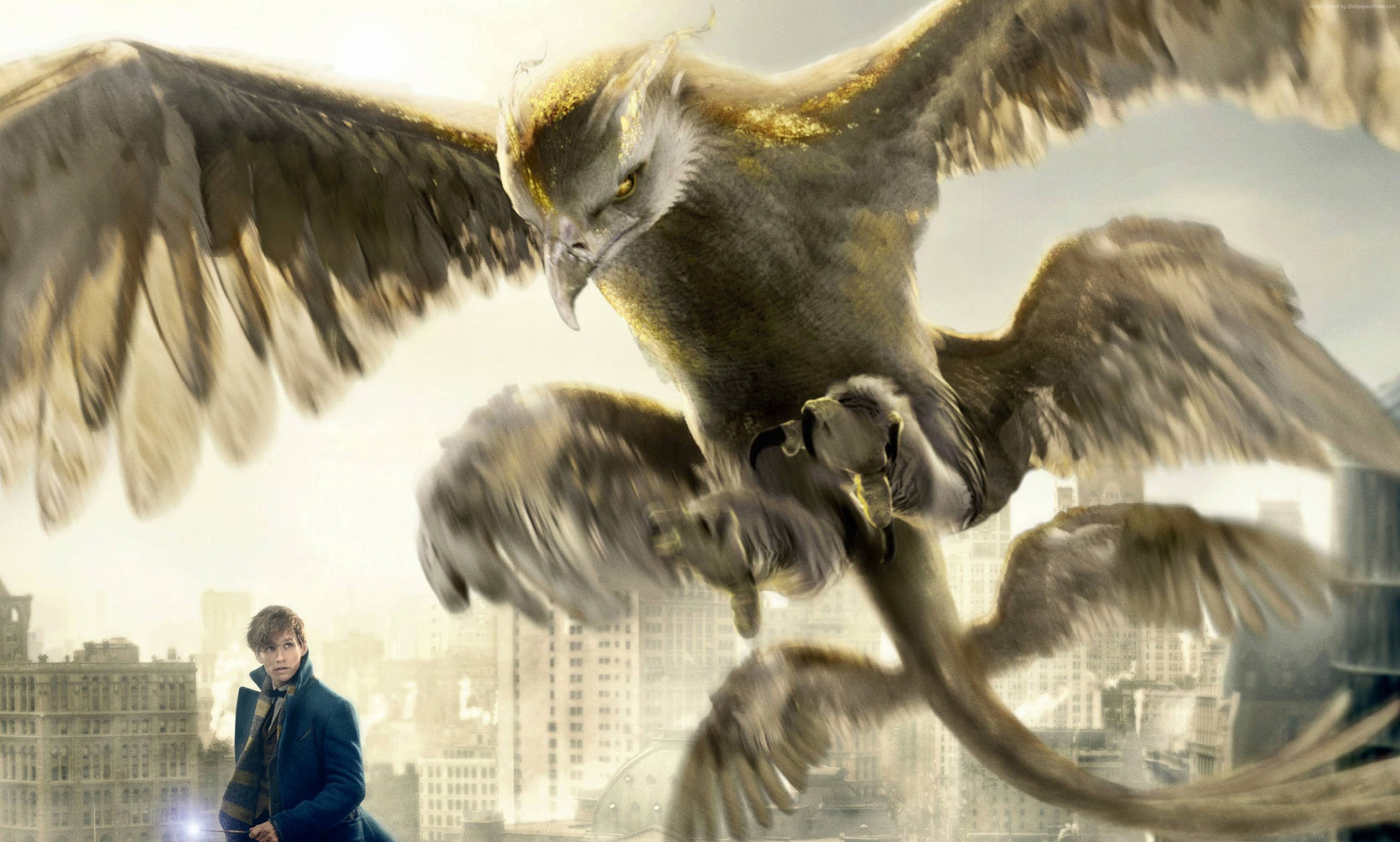2K, Best Movies, Fantastic Beasts And Where To Find Them, Eddie Redmayne, HD Wallpaper