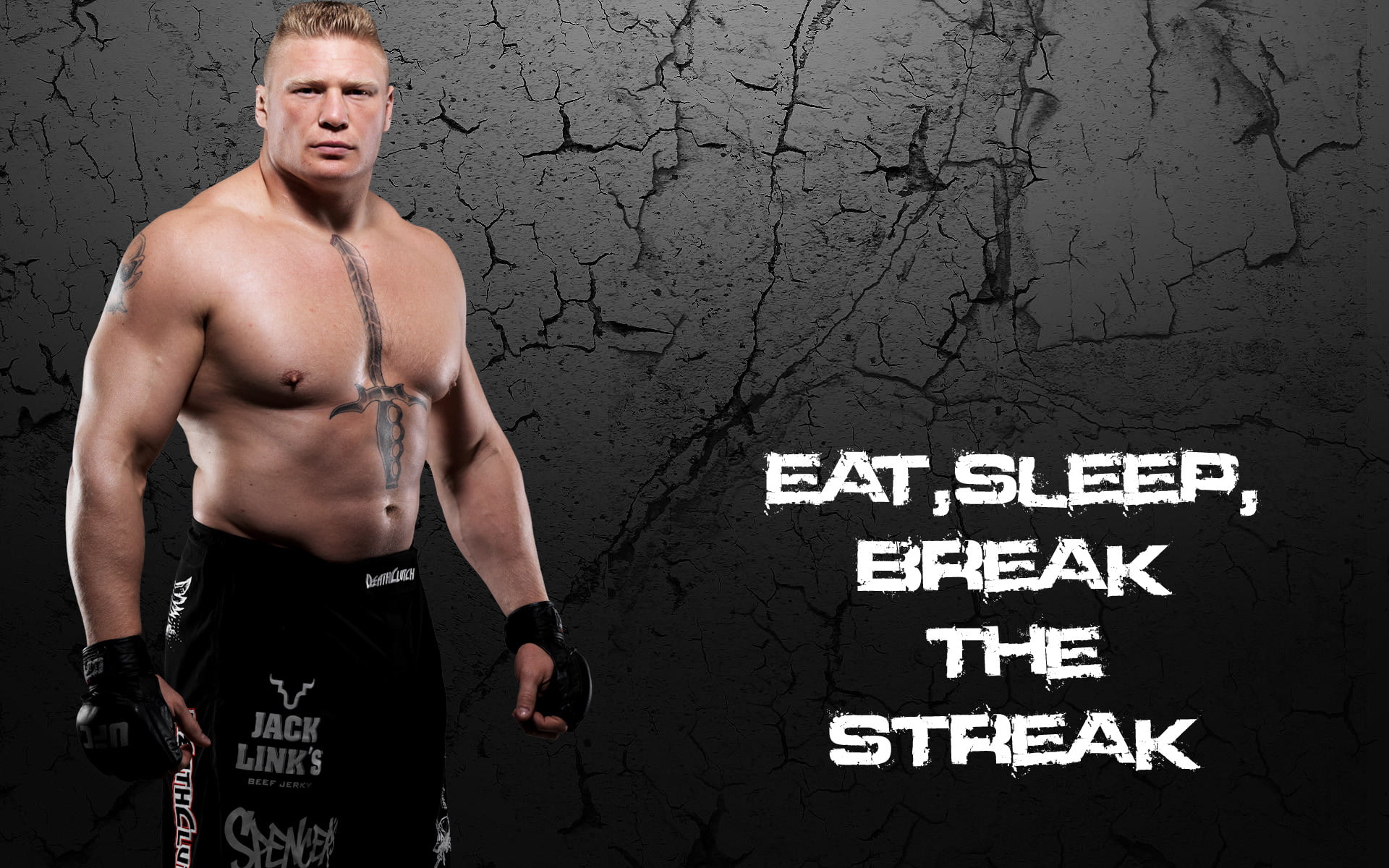 WrestleMania, sports, Wrestling, wwe, 1080P, 1920x1200, Lesnar, Brock, Brock Lesnar, 4k wwe, HD Wallpaper
