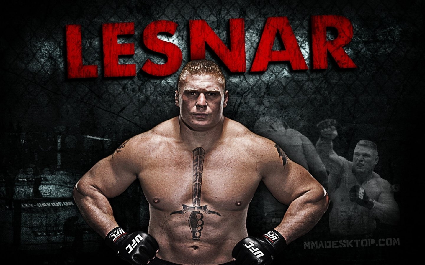 Sports, brock, 720P, Mixed Martial Arts, MMA, lesnar, HD Wallpaper