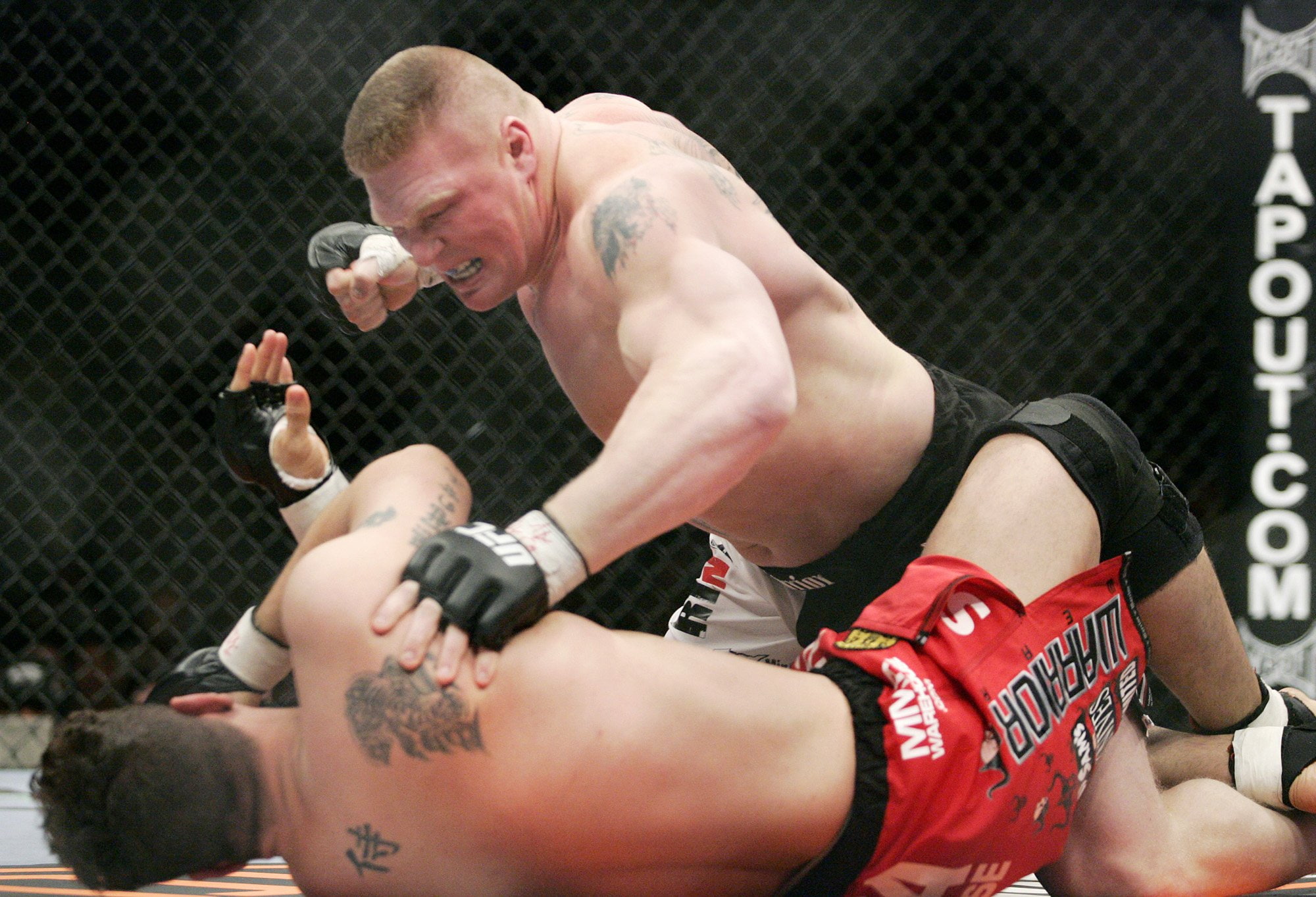 brock, ufc, lesner, mma, 1080P, fighting, martial, HD Wallpaper