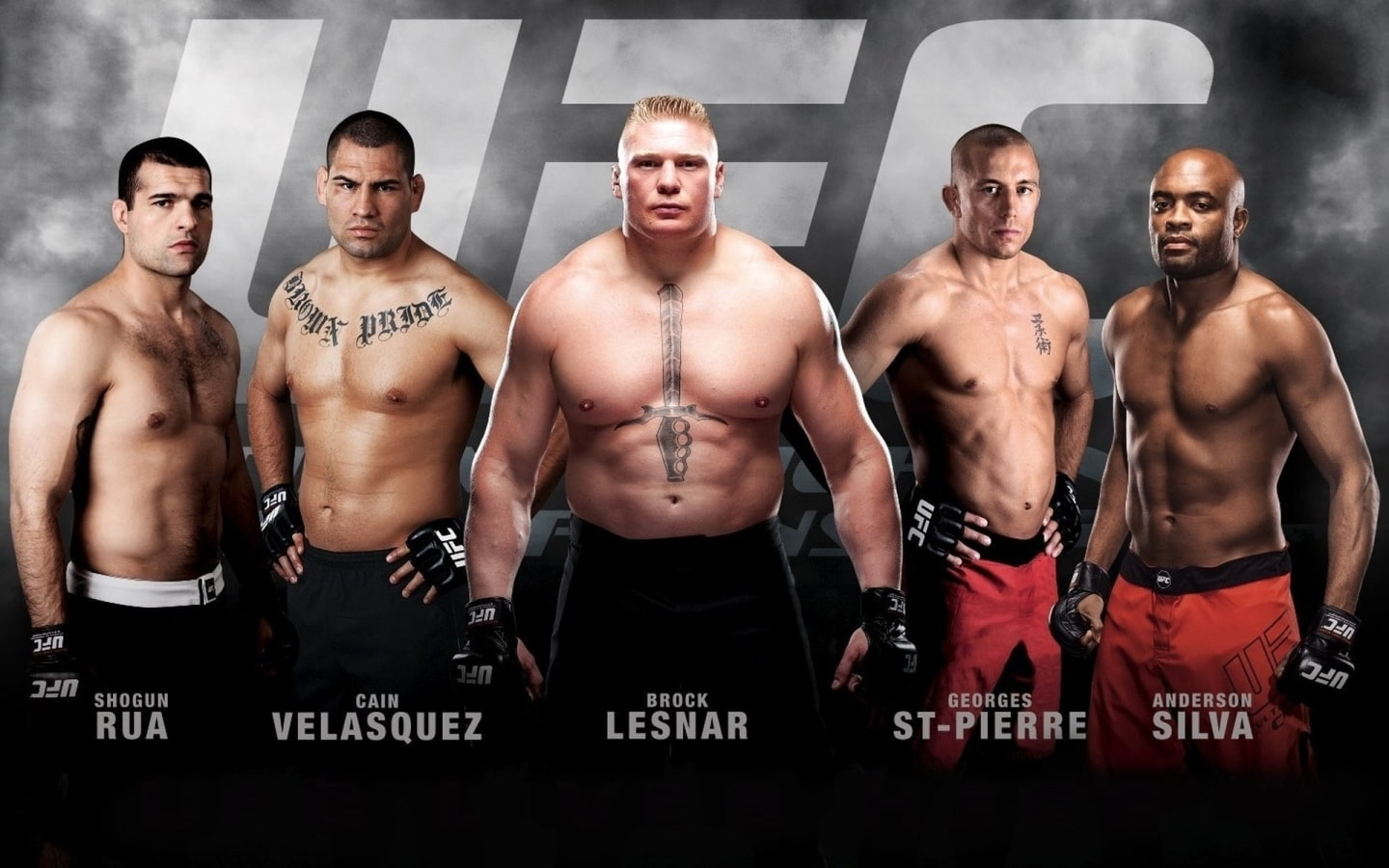 Ultimate Fighting Championship, Brock Lesnar, MMA, Cain Velasquez, Sports, 720P, Mixed Martial Arts, Anderson Silva, Georges St-Pierre, HD Wallpaper