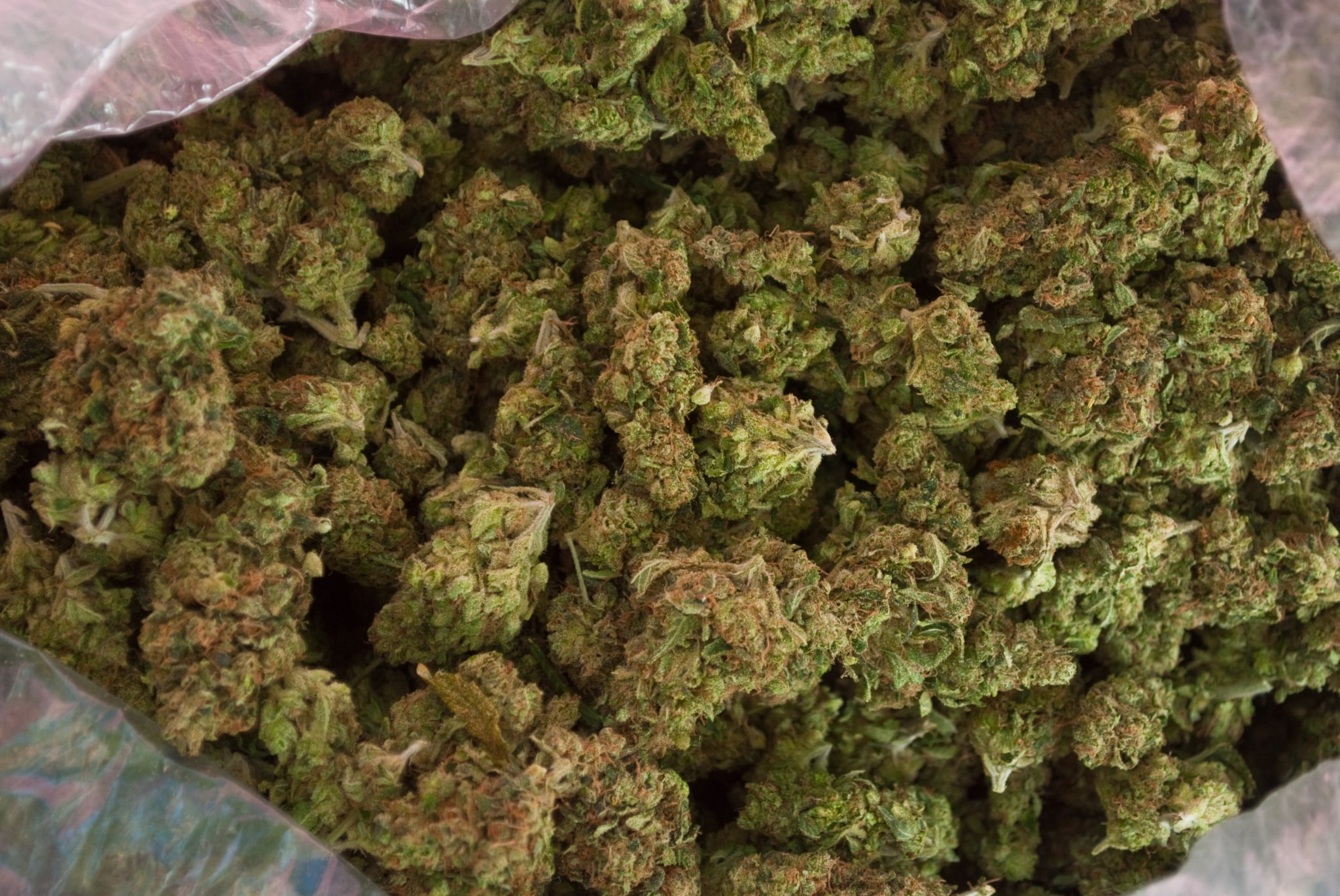 food, herb, nature, cannabis plant, selective focus, indoors, close-up, marijuana pictures desktop, herbal medicine, narcotic, green color, marijuana - herbal cannabis, HD Wallpaper