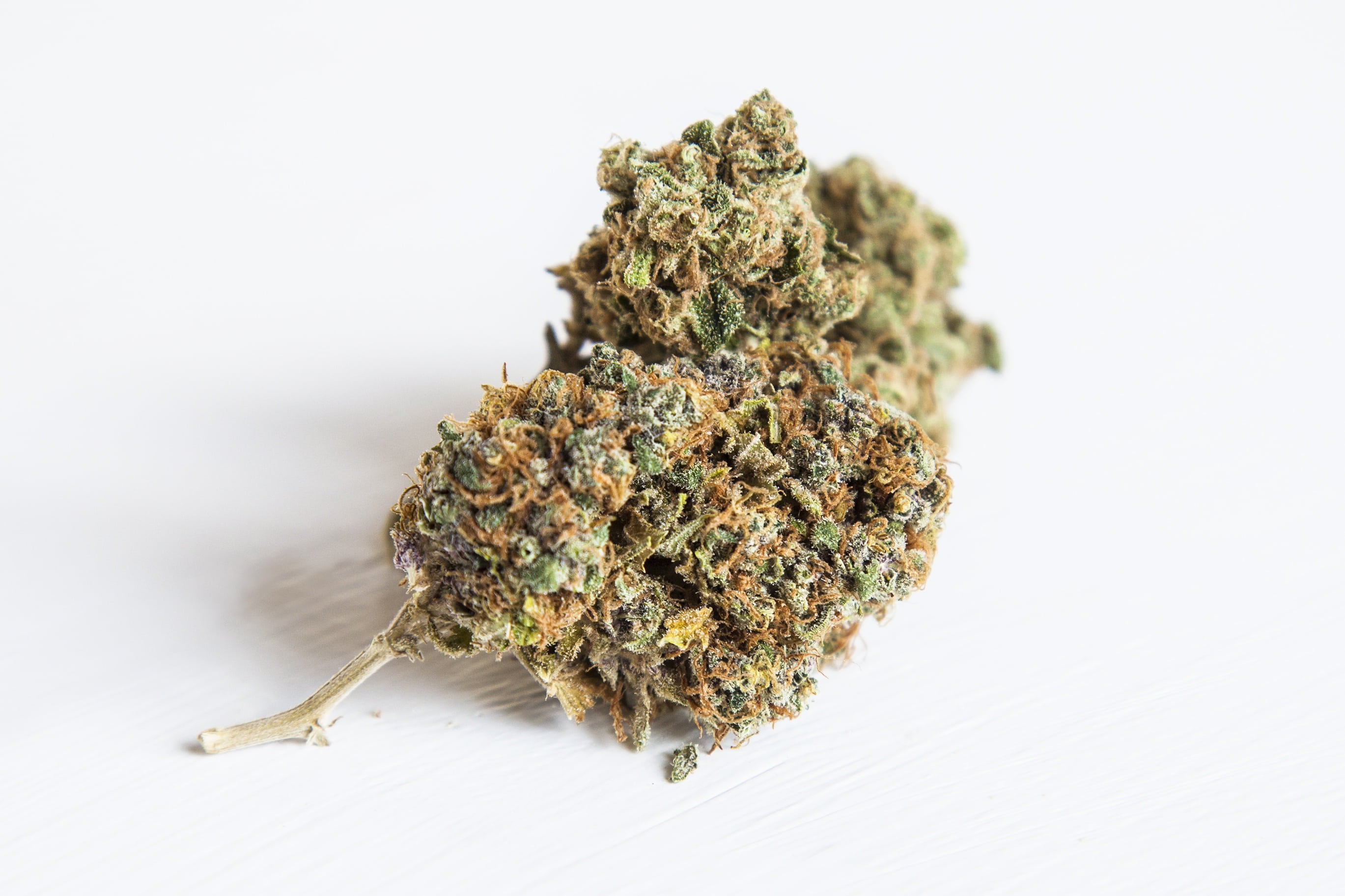 kush, spliff, close-up, chronic, cannabis plant, alternative medicine, herbal medicine, medicine, marijuana, ganga, isolated, medical cannabis, cured, white background, HD Wallpaper