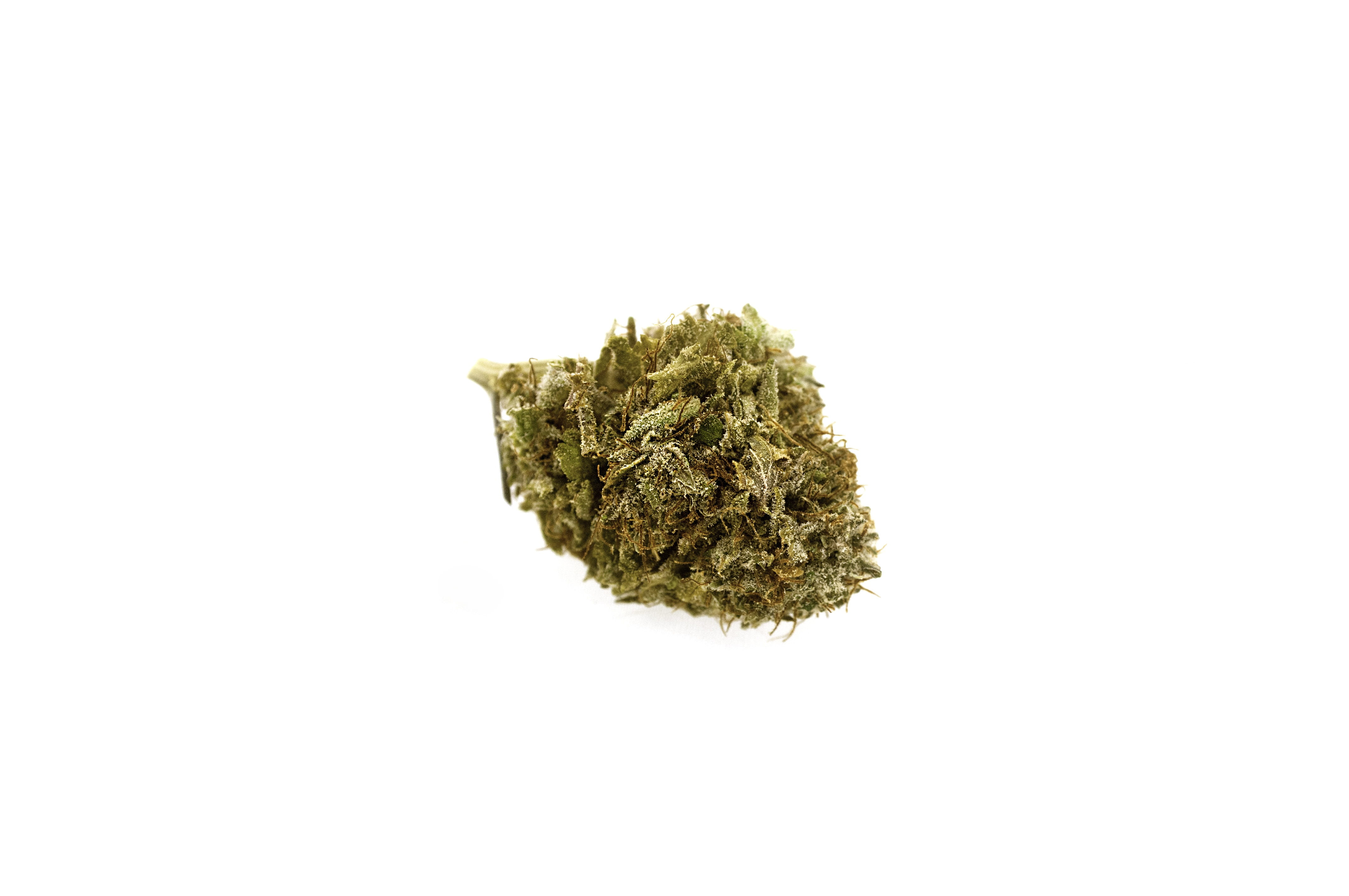 marijuana - herbal cannabis, medical cannabis, background, herbal medicine, cannabis plant, studio shot, healthcare and medicine, green color, marijuana, HD Wallpaper