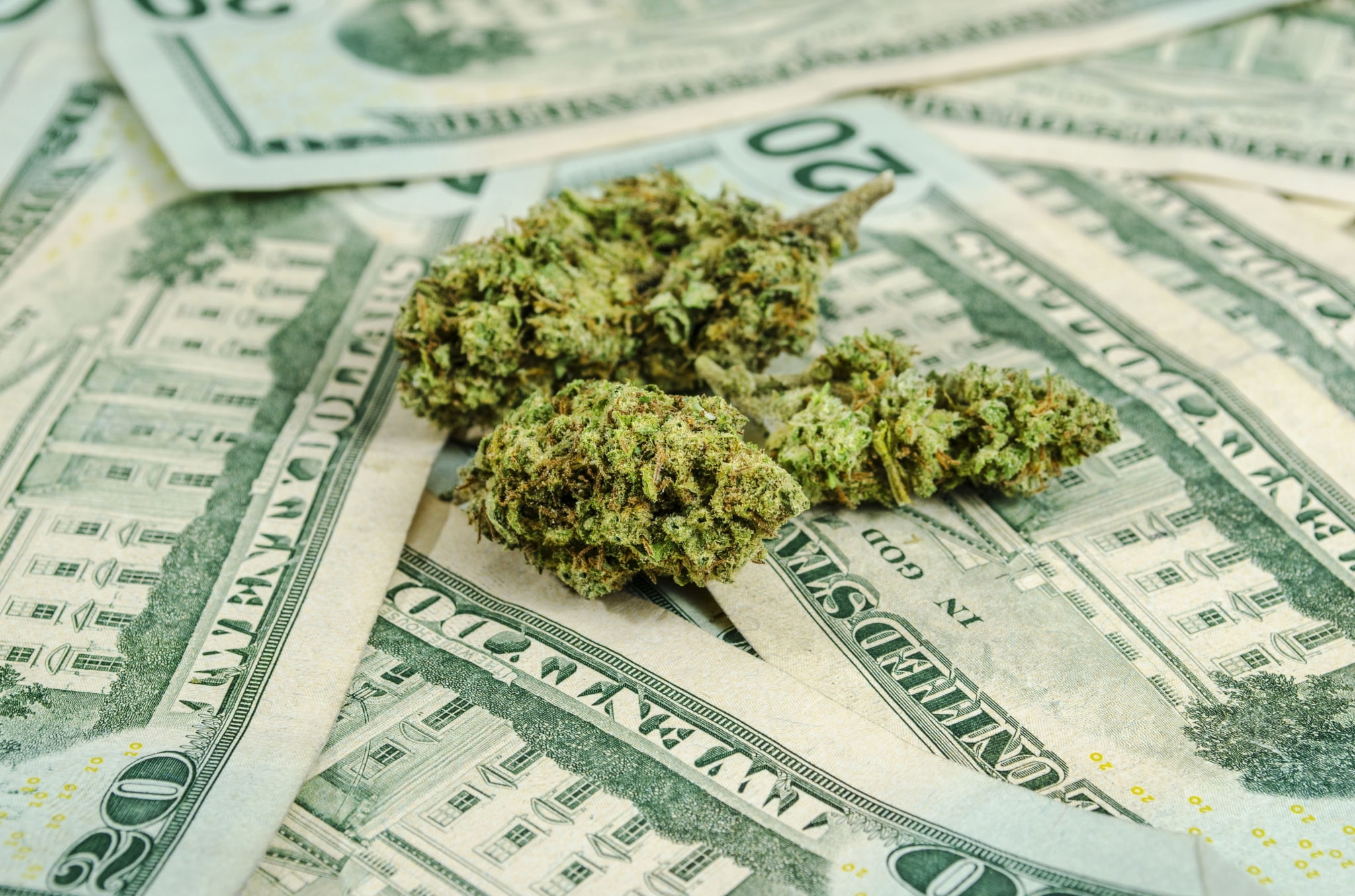 marijuana  backgrounds hd, herbal medicine, finance, indoors, marijuana - herbal cannabis, recreational drug, medicine, cannabis plant, no people, plant, HD Wallpaper