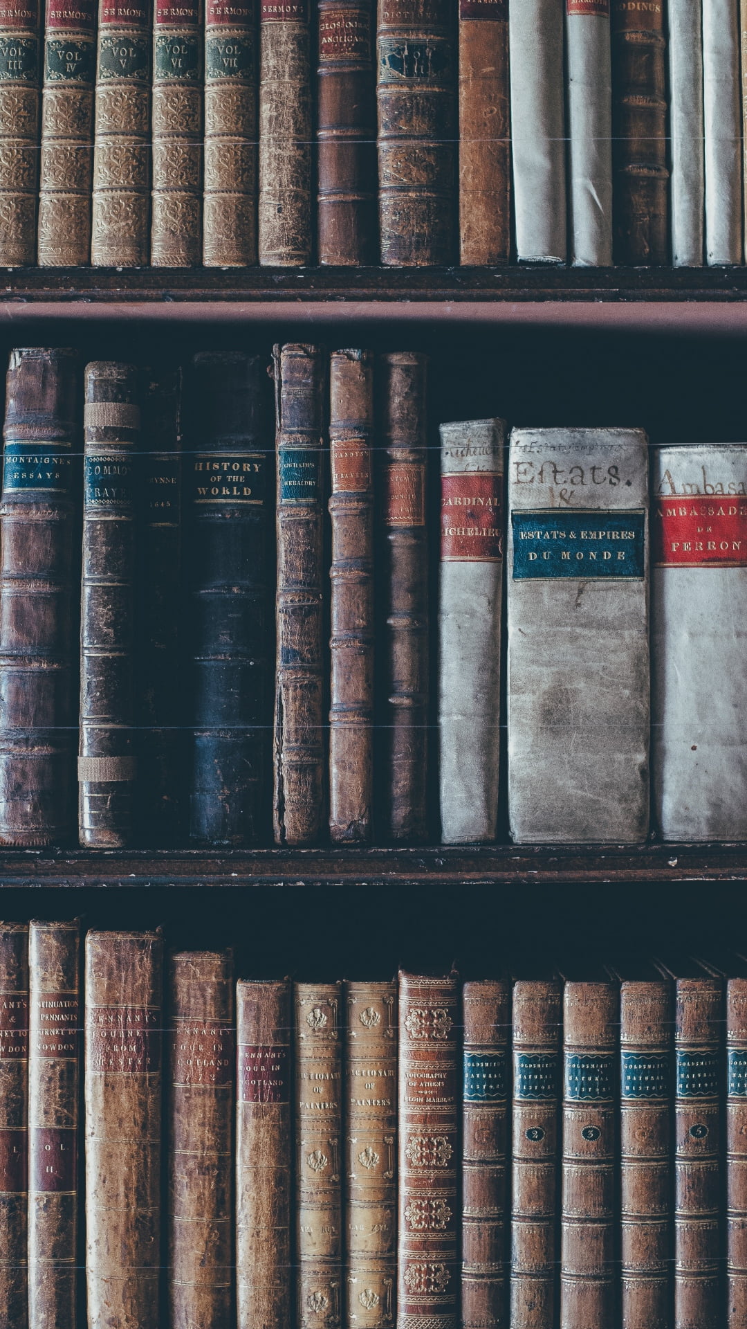 vintage, arrangement, brown, choice, indoors, 1080P, book shelf, wooden, chess, book, abundance, variation, antique, in a row, black, shelf, full frame, Phone HD Wallpaper