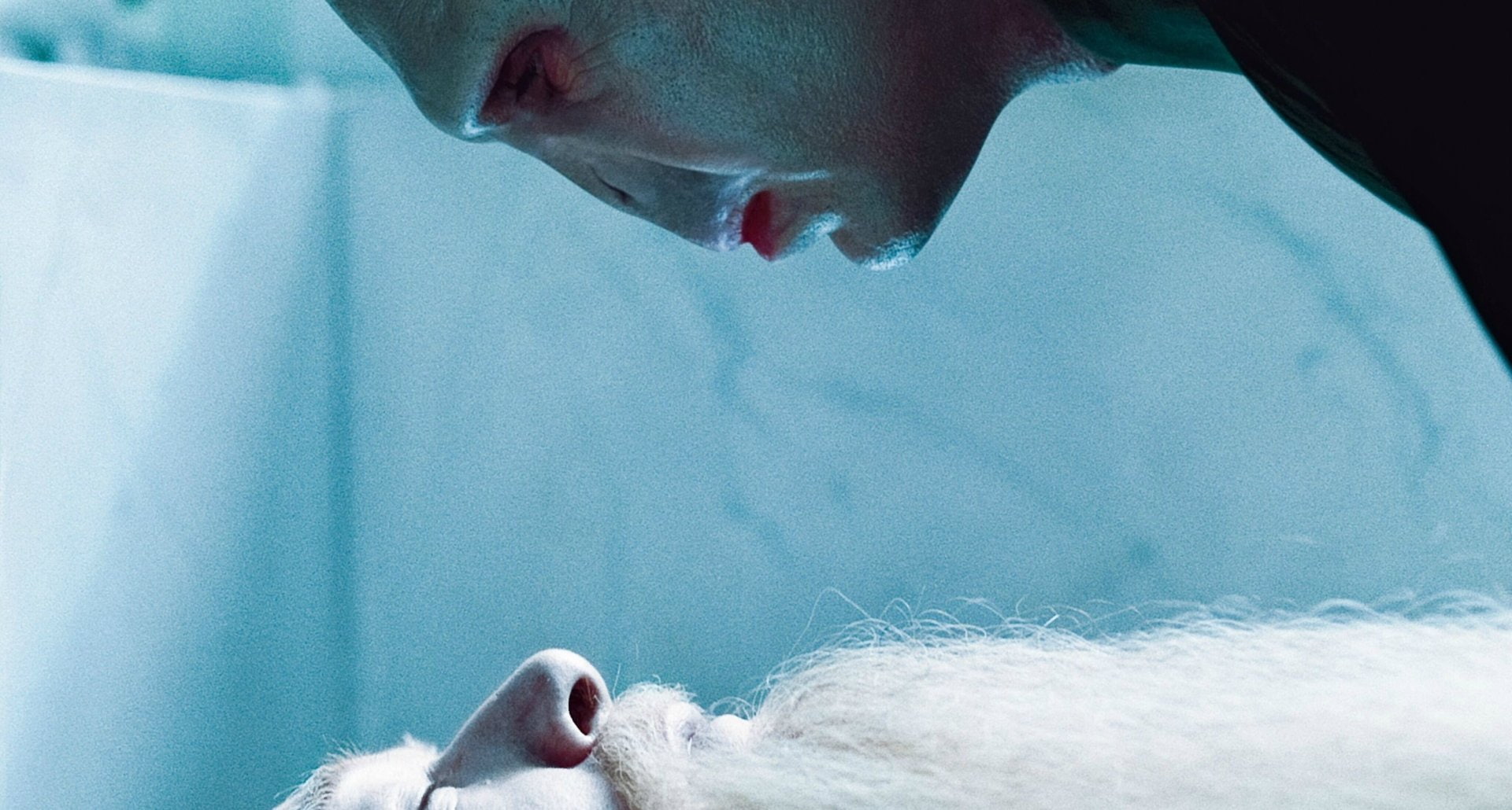 Lord Voldemort, Albus Dumbledore, 1080P, Harry Potter, Harry Potter and the Deathly Hallows: Part 1, HD Wallpaper