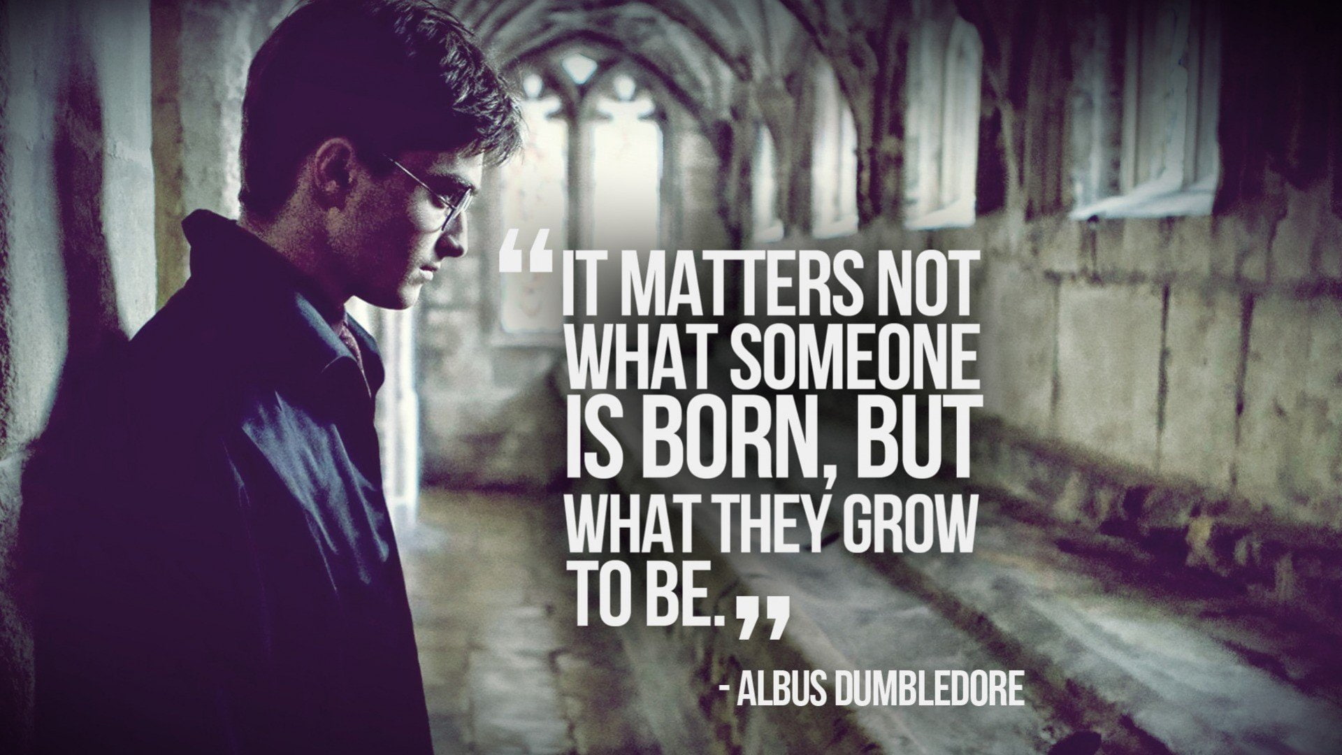 radcliffe, dumbledore, daniel, harry, quotes, albus, 1080P, potter, HD Wallpaper
