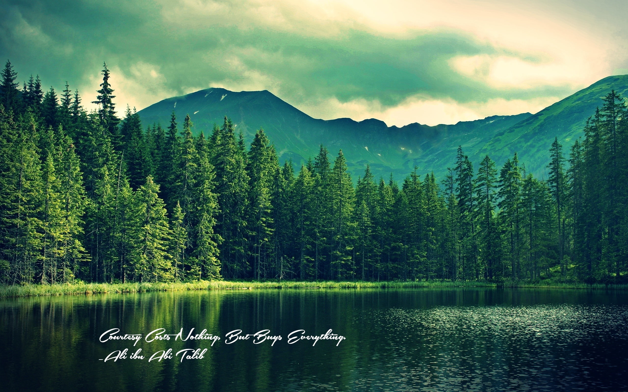 quote, water, lake, Ali Ibn Abi Talib, Islam, Imam, nature, 2K, Trees, HD Wallpaper