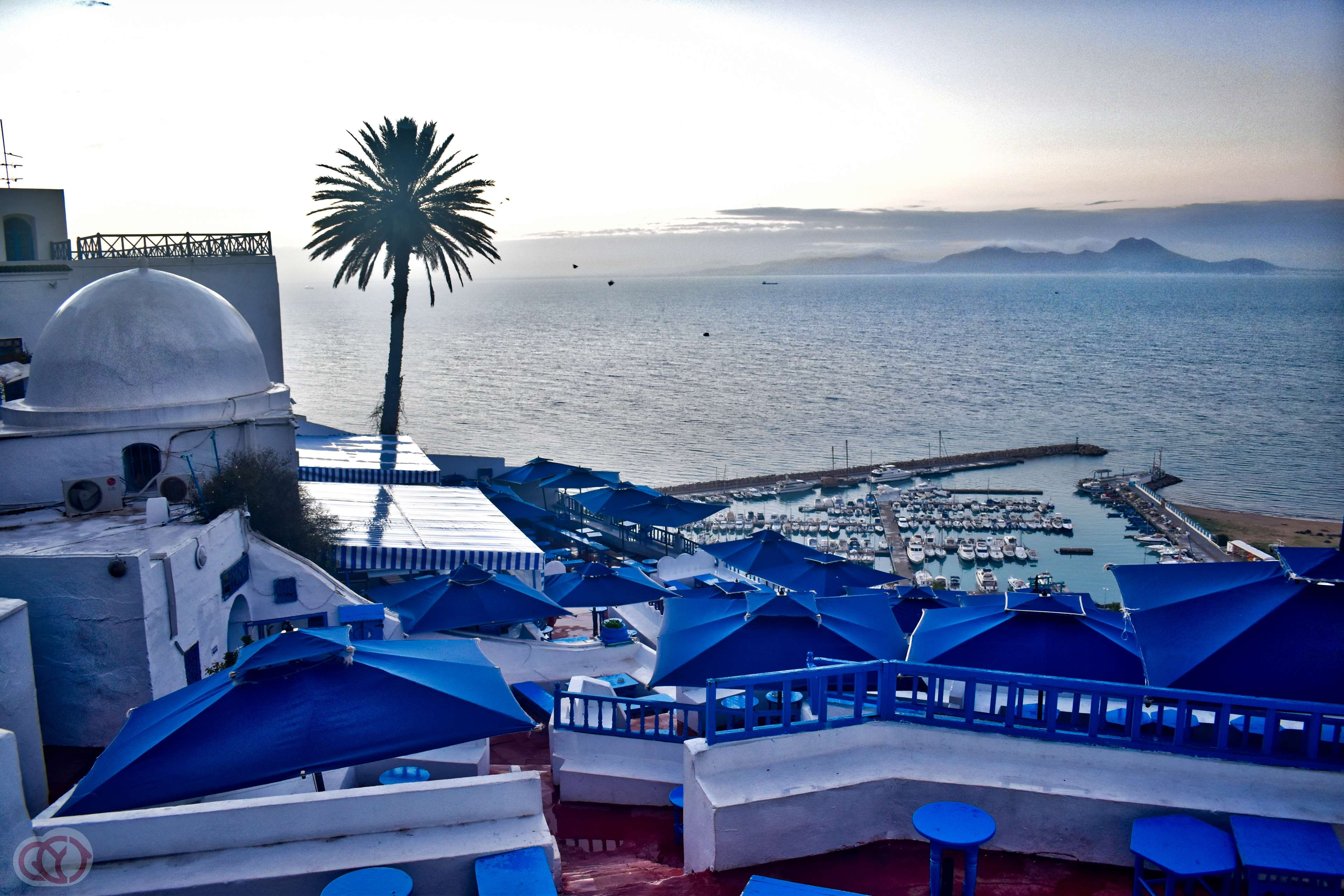 travel, tree, outdoors, architecture, sidi bou said, mode of transportation, day, blue sky, beauty in nature, tunisia, water, nature, transportation, nautical vessel, HD Wallpaper