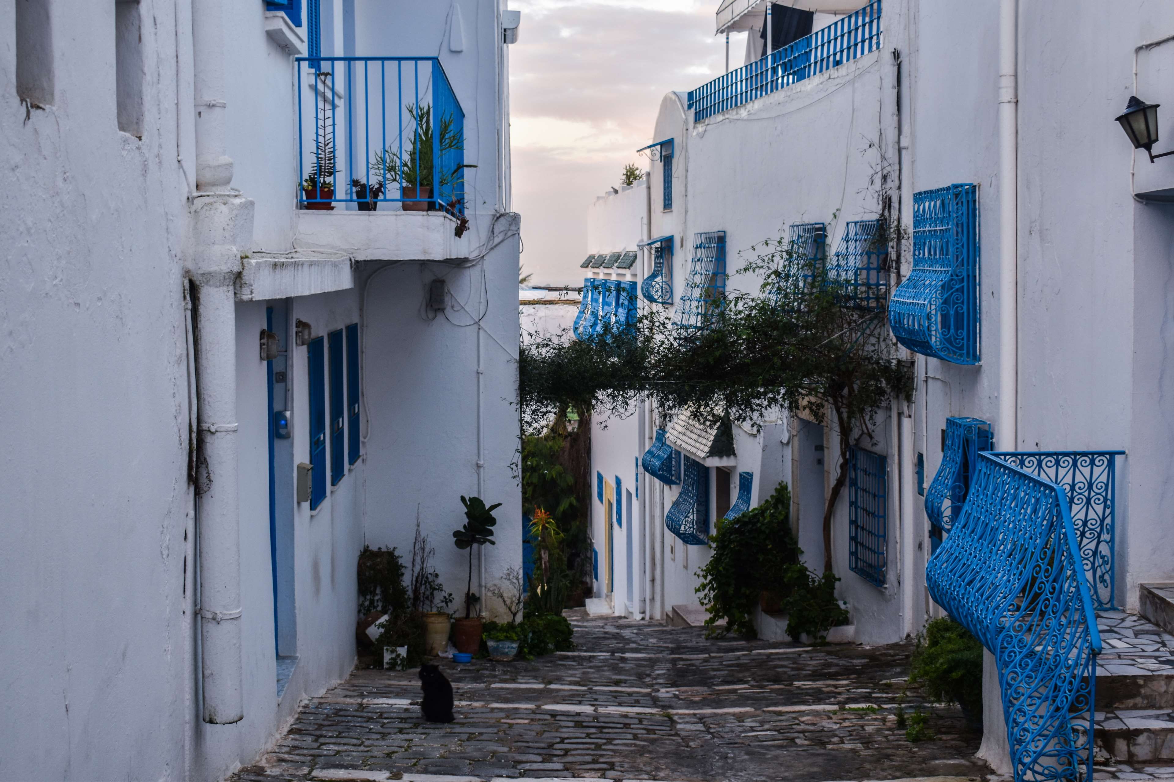 sky, lifestyles, men, building exterior, outdoors, plant, adult, day, tunisia, building, alley, nature, residential district, morning, leisure activity, HD Wallpaper