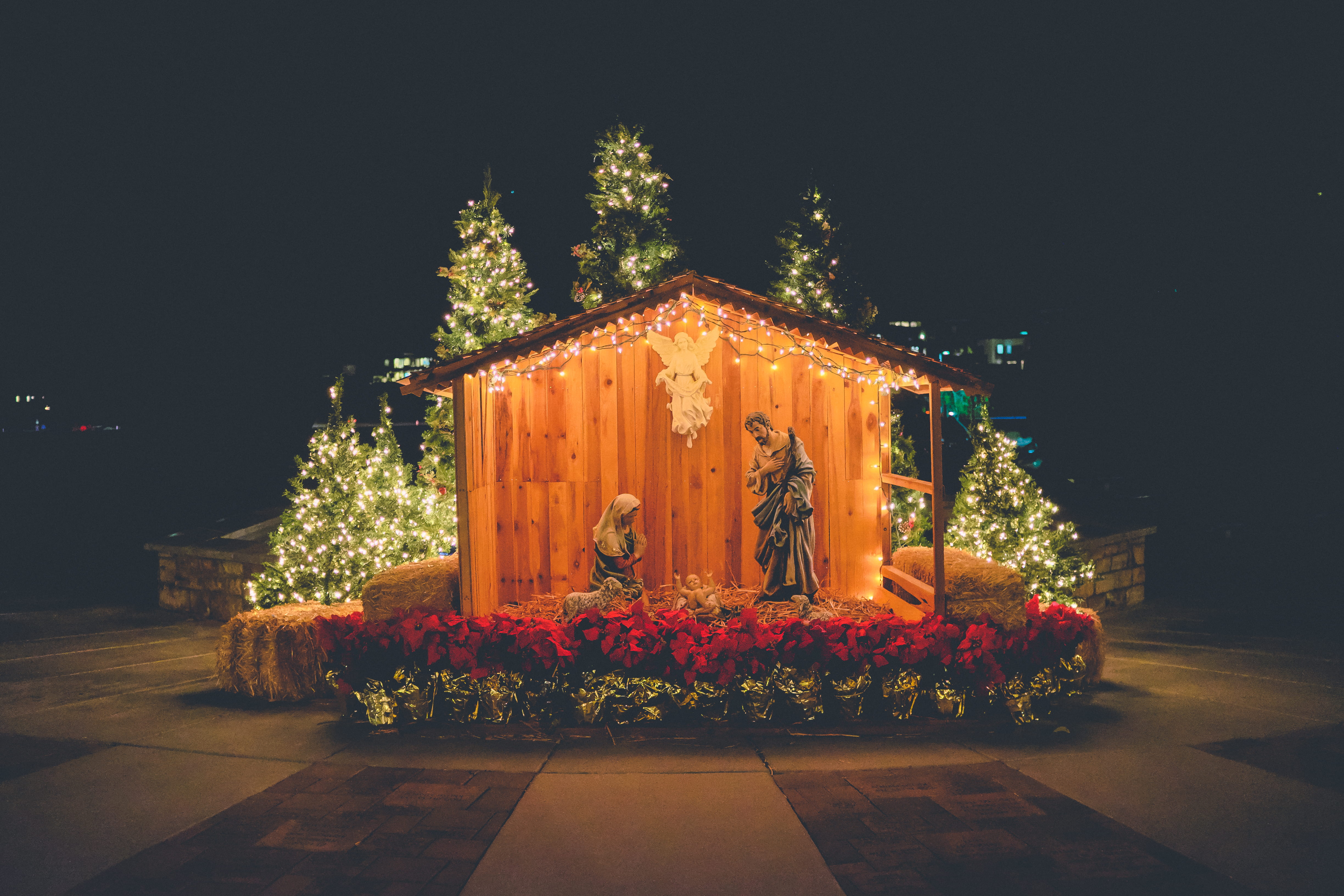 barn, holiday - event, decor, christmas decoration, no people, tree, flowers, plant, illuminated, christmas lights, flower, outdoors, nature, time, flower arrangement, HD Wallpaper