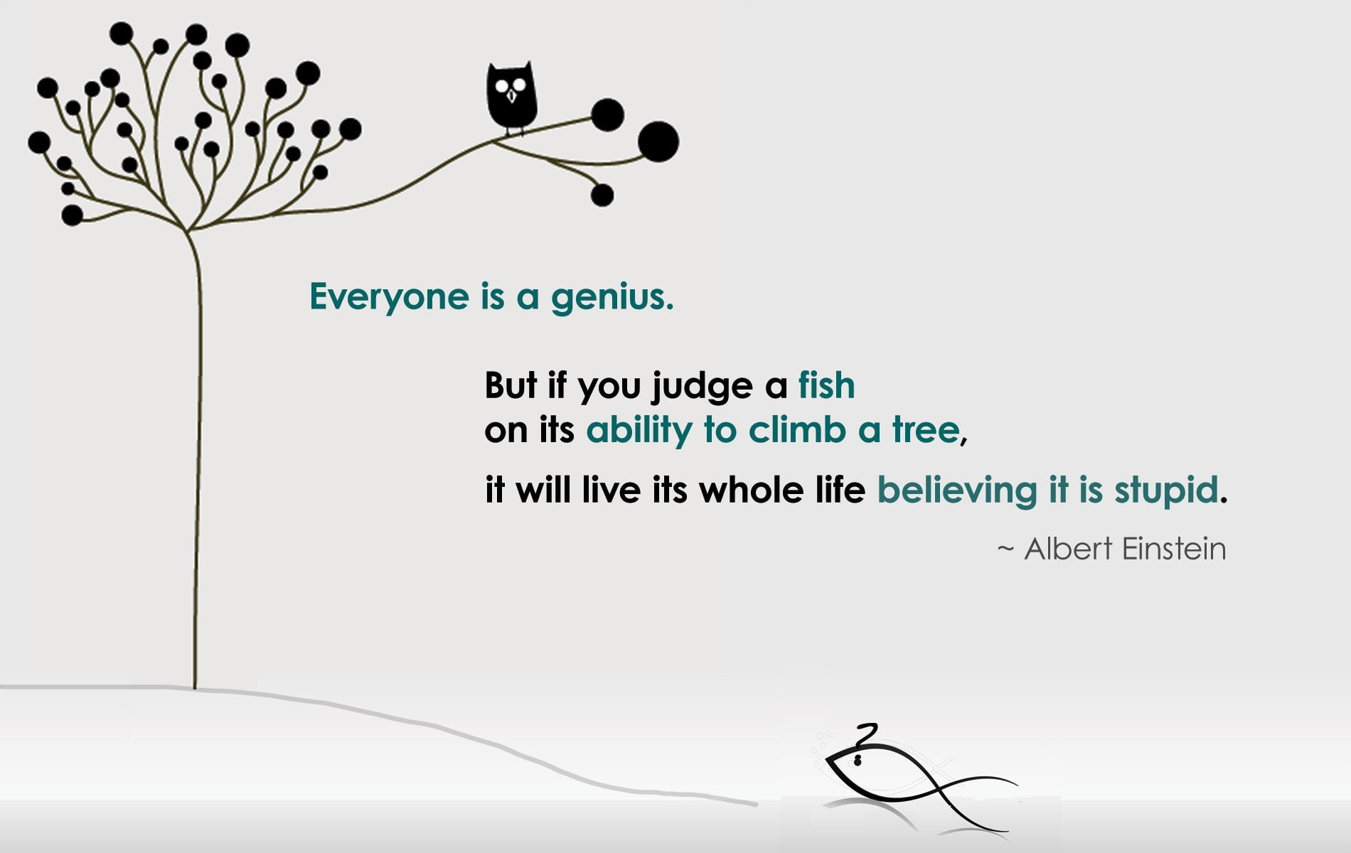 hd, 720P, text, judge, x, animals, art, FISH, genius, HD Wallpaper