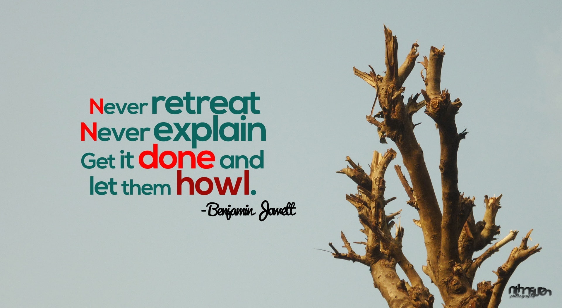 nithin suren, communication, non-western script, tree trunk, day, tree, bare tree, life quotes 1_nithinsuren, studio shot, clear sky, 1080P, Typography, HD Wallpaper