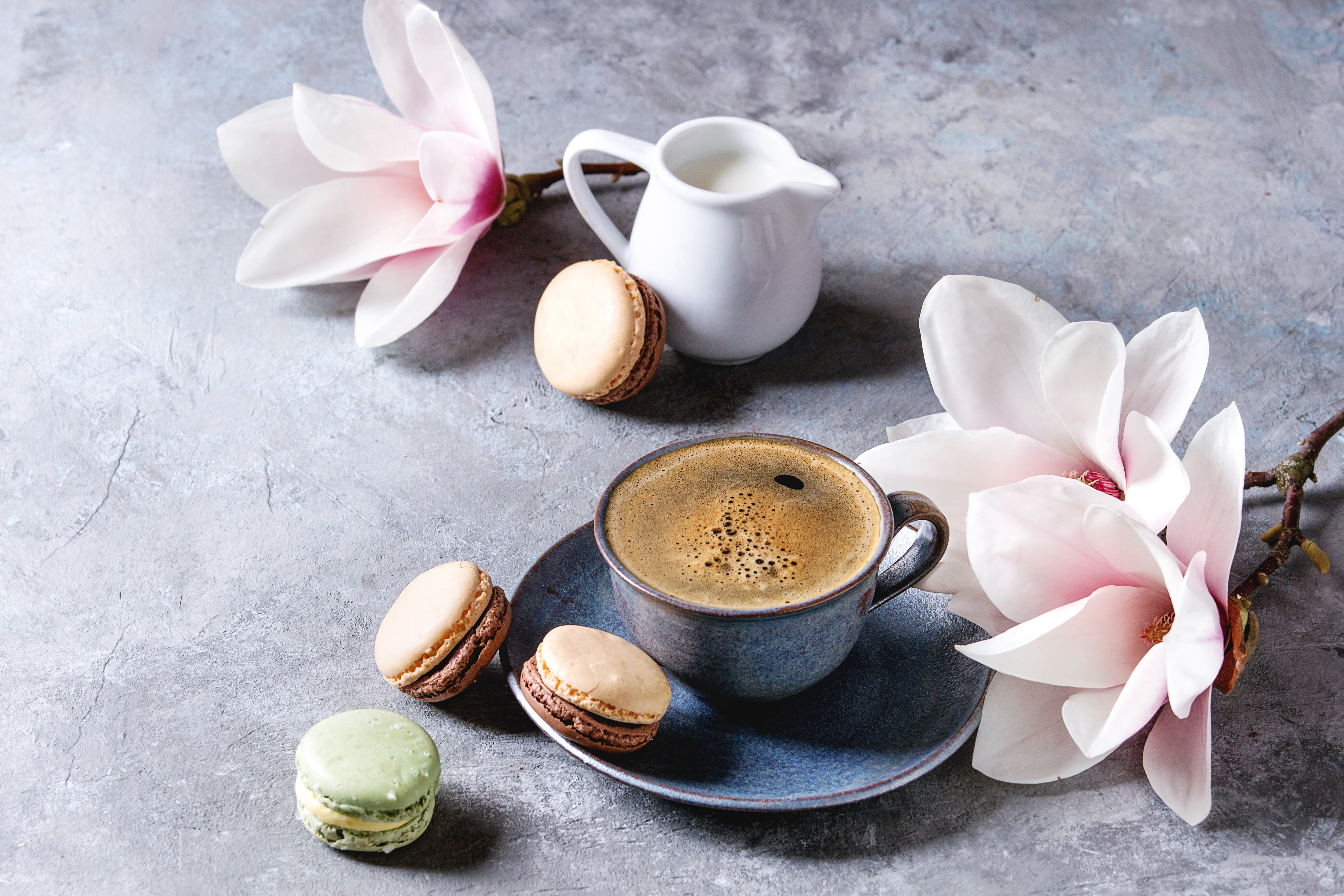 Flower, Cup, Still Life, Coffee, 4K, Food, Macaron, HD Wallpaper