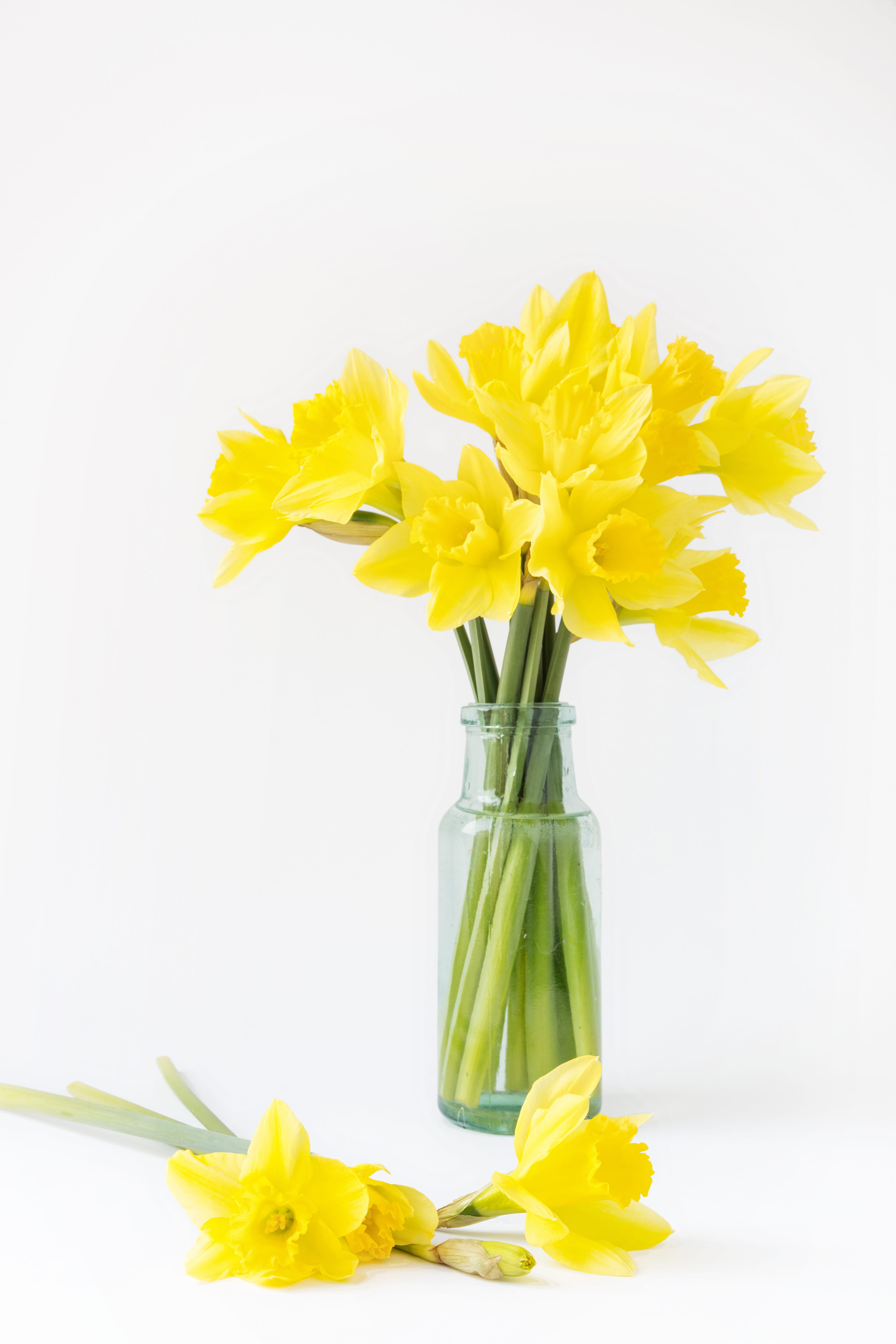 close-up, vulnerability, vase, flower head, beauty in nature, bouquet, iris - plant, inflorescence, fragility, tulip, petal, freshness, nature, yellow, Phone HD Wallpaper