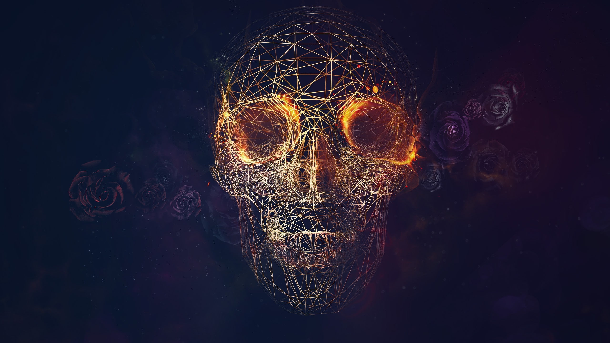 geometry, skull, lines, 2K, abstract, dark, roses, math, HD Wallpaper