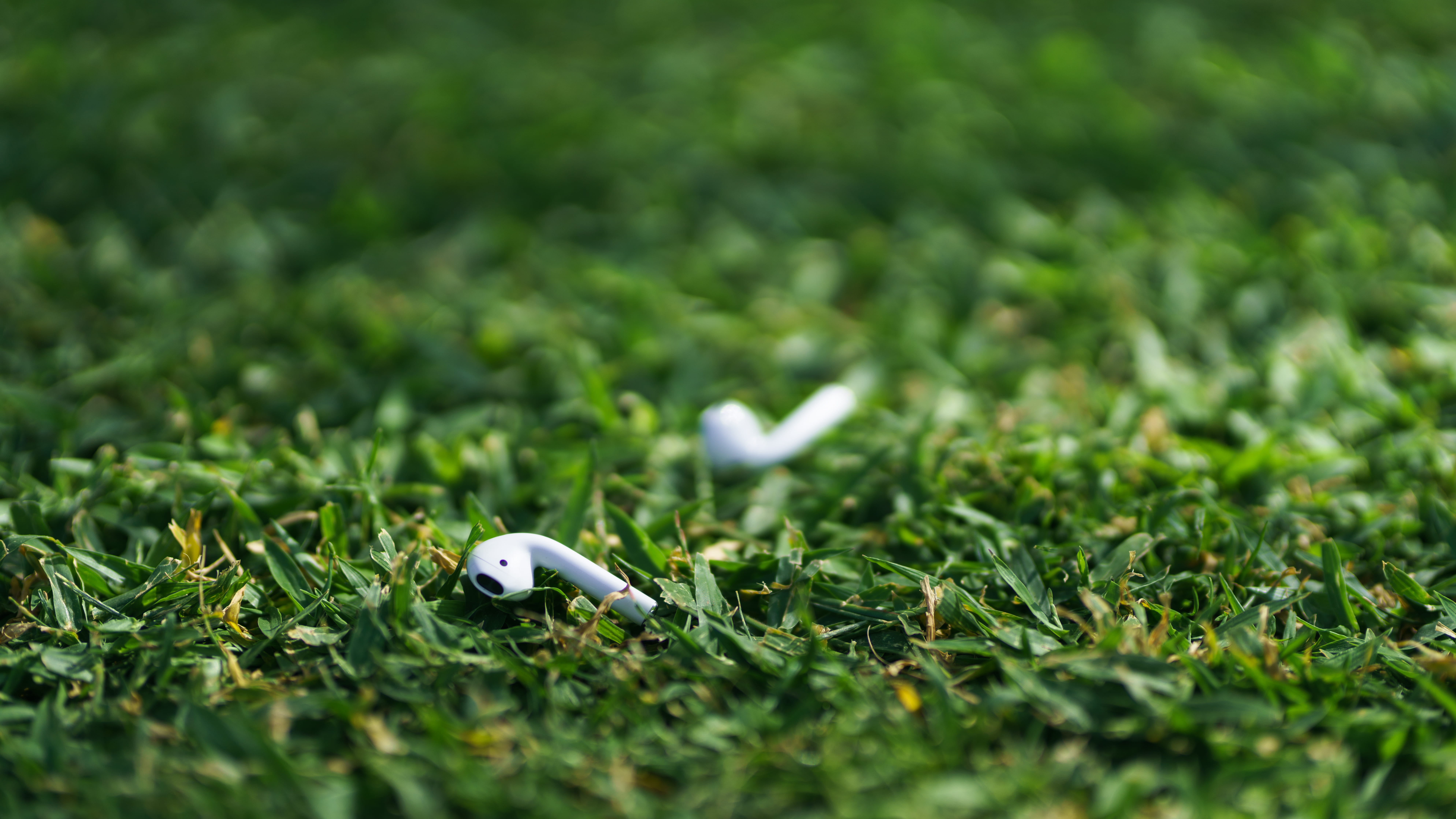 representation, beauty in nature, apple, earpods, 8K, growth, shallow, fragility, outdoors, no people, white, nature, vulnerability, selective focus, close-up, HD Wallpaper