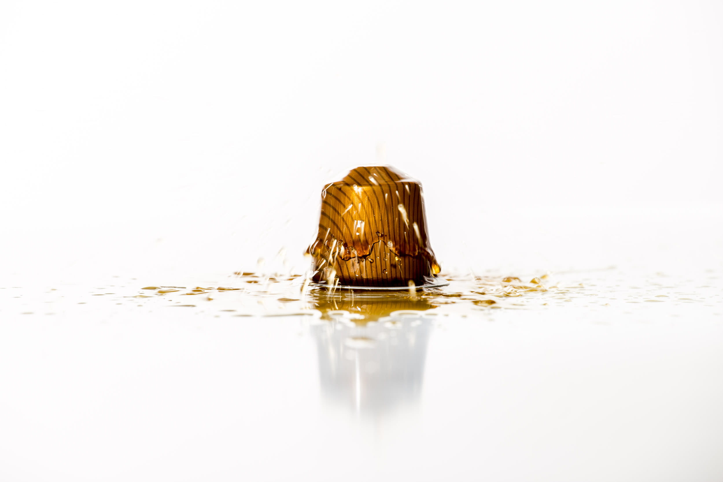 1080P, insect, outdoors, purity, carmalito, water, white background, aalst, close-up, day, drops, animal themes, one animal, reflection, yellow, doolhofstraat, HD Wallpaper
