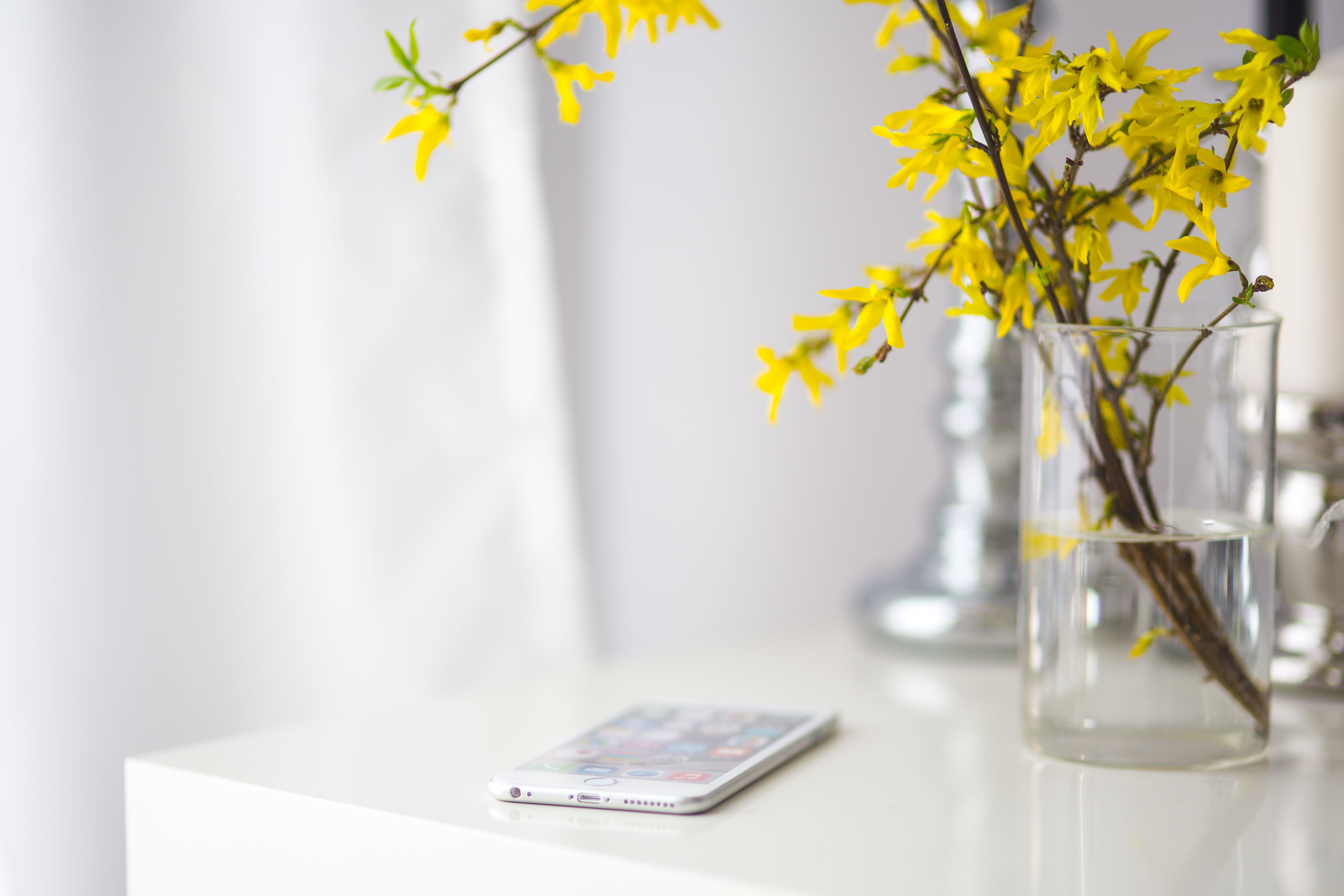 decor, flower head, focus on foreground, White, flower arrangement, no People, still life, home interior, simplicity, flower, indoors, connection, yellow, HD Wallpaper