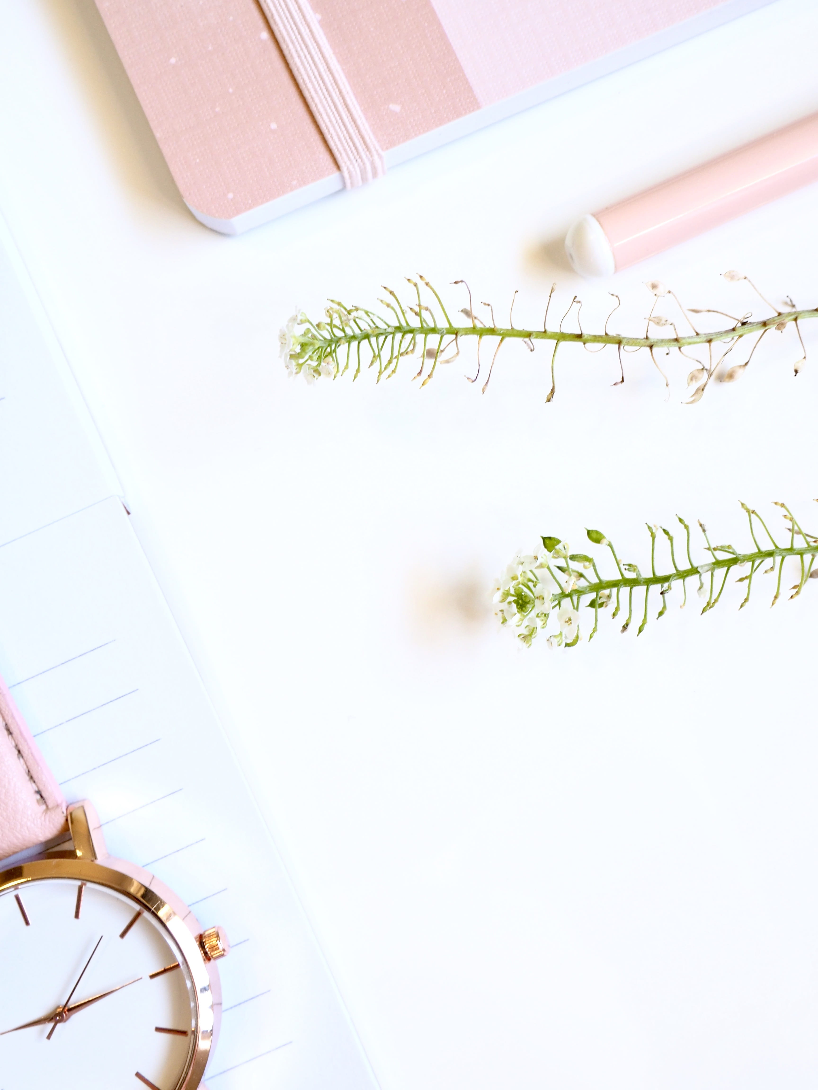 book, watch, pen, white, open, table, writing, feminine, publication, white color, no people, green color, paper, 4K, flower, workplace, tree, clean, leaf, Phone HD Wallpaper