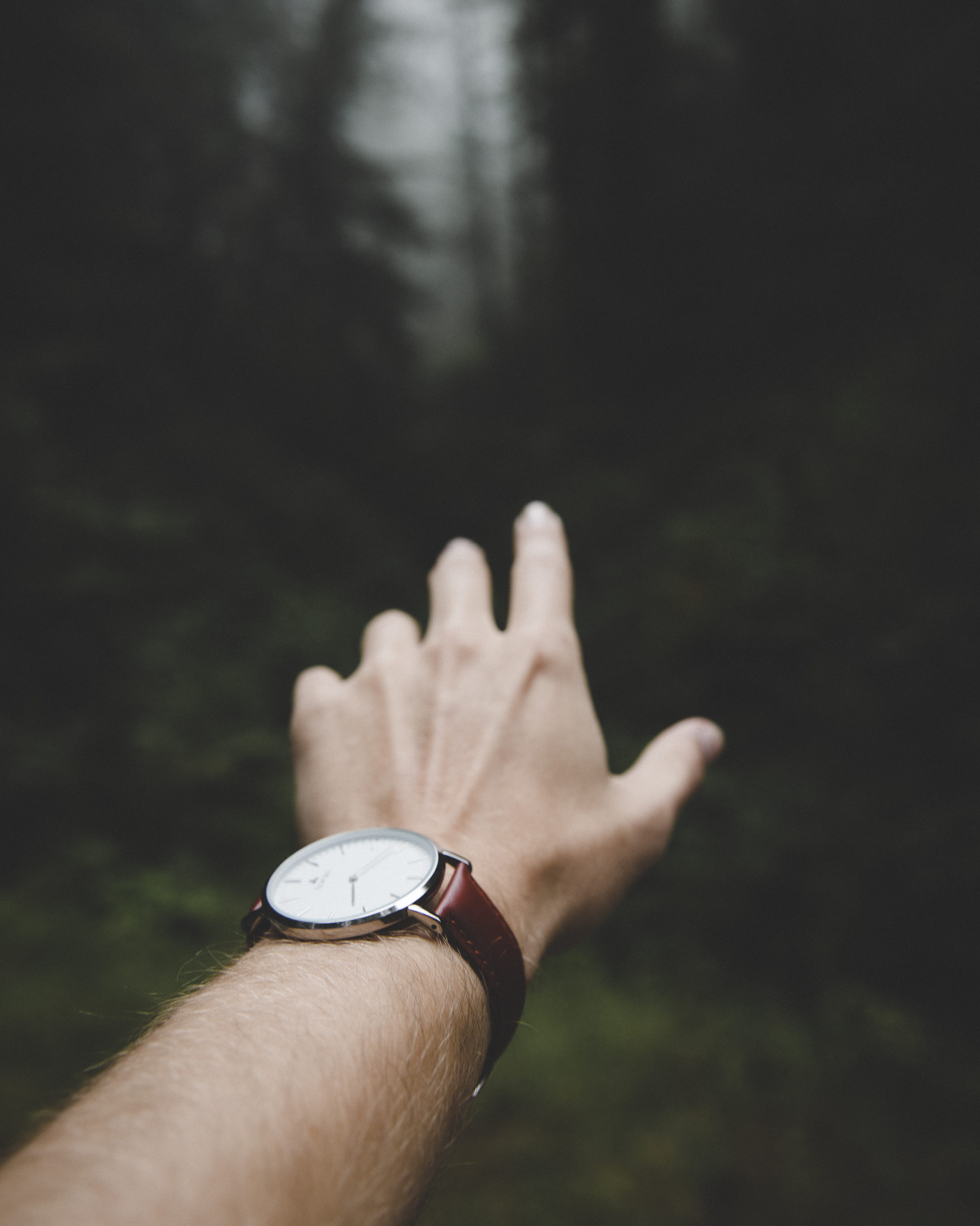 analog, green, lifestyles, day, beauty, tree, fog, man, time, wristwatch, unrecognizable person, personal perspective, leisure activity, forest, finger, Phone HD Wallpaper