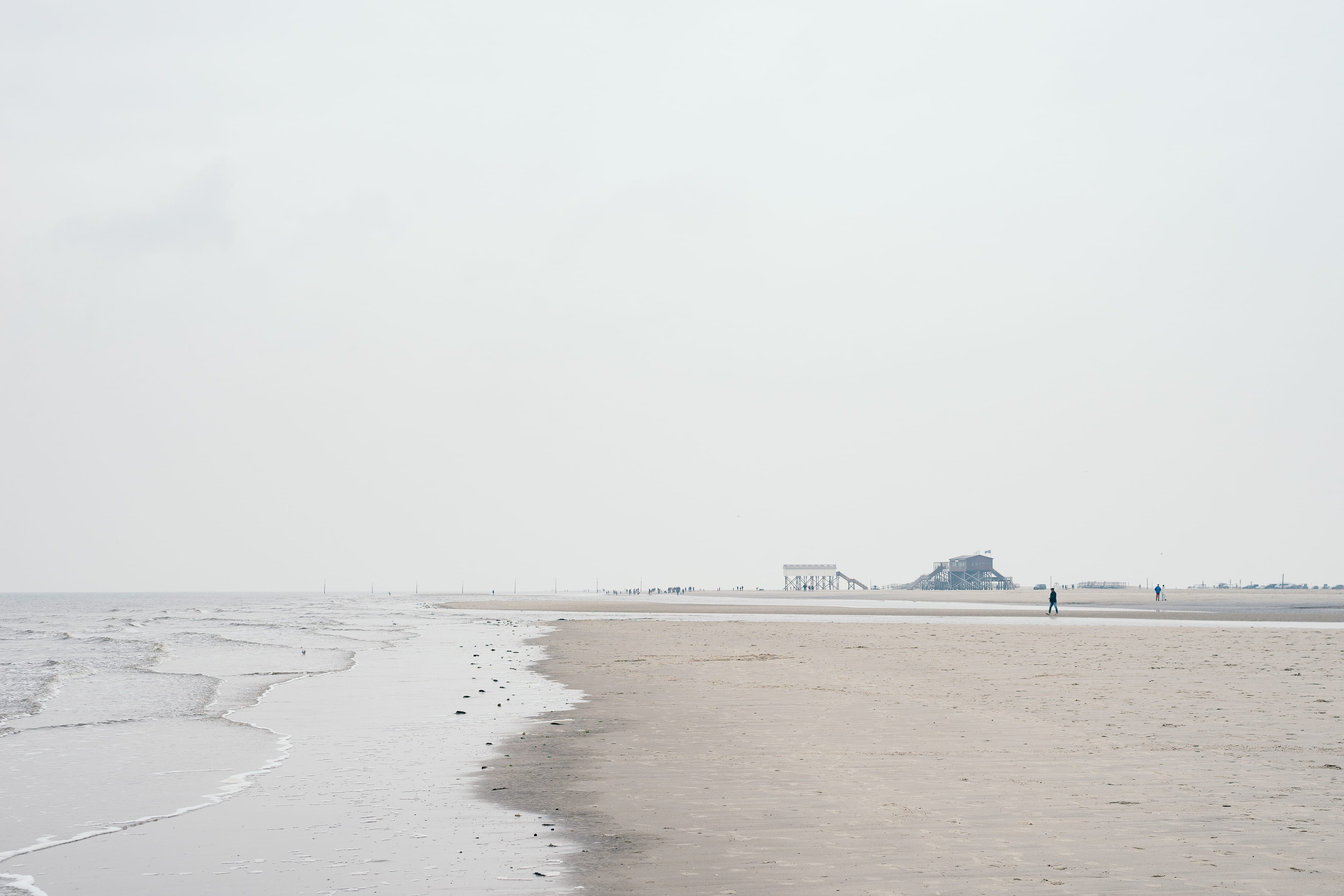 water, white, typical, stilt house, flat, pile, flatlands, tranquility, low water, wattenmeer, copy space, environment, maritime, st, tidal land, landmark, HD Wallpaper