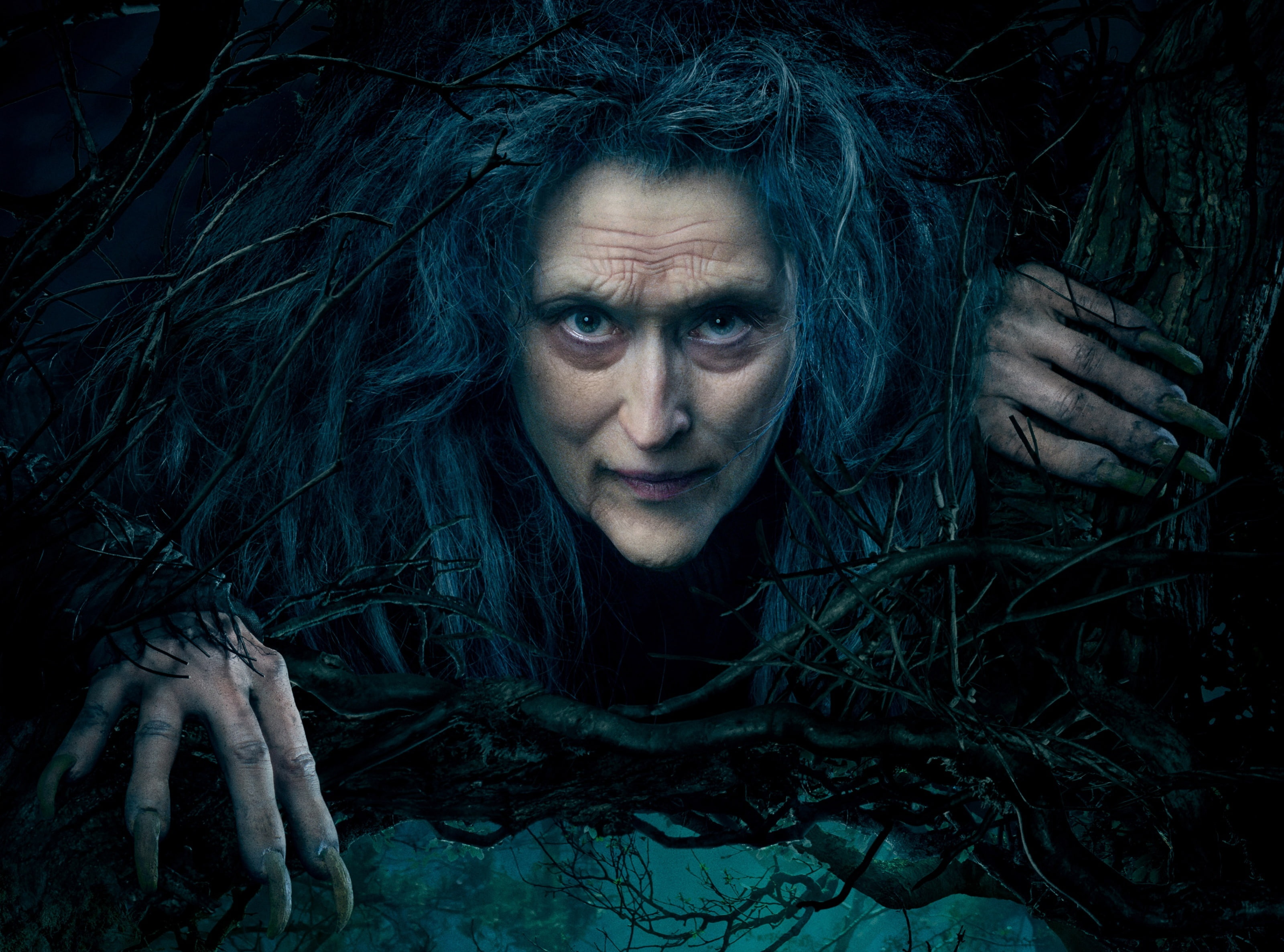 evil, looking at camera, mid adult, 2014, bizarre, negative emotion, headshot, digital composite, dark, Other Movies, sadness, woods, Movie, messy, Film, HD Wallpaper